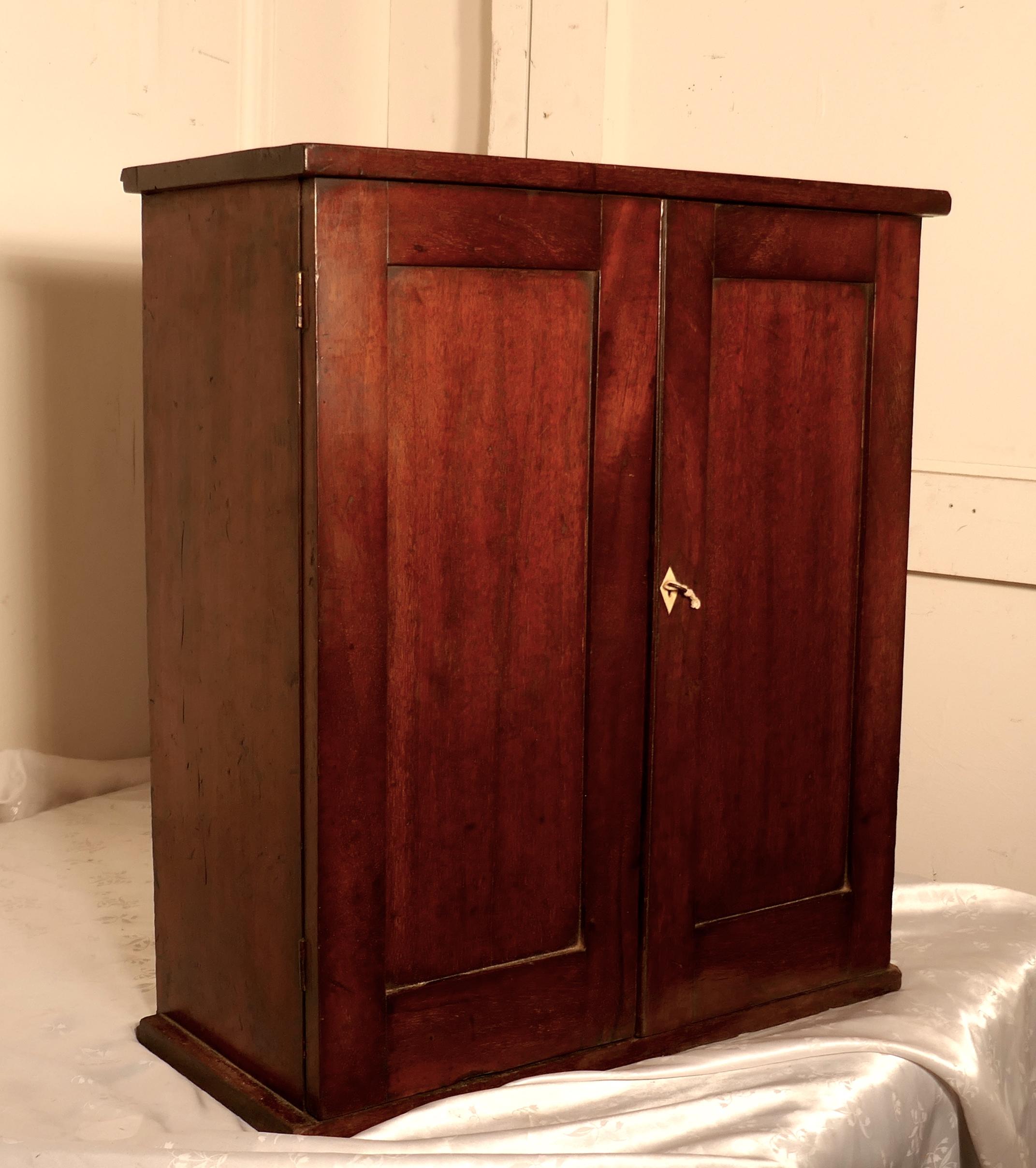 Late 19th Century Victorian Mahogany Collectors Cabinet, with Interior Drawers For Sale