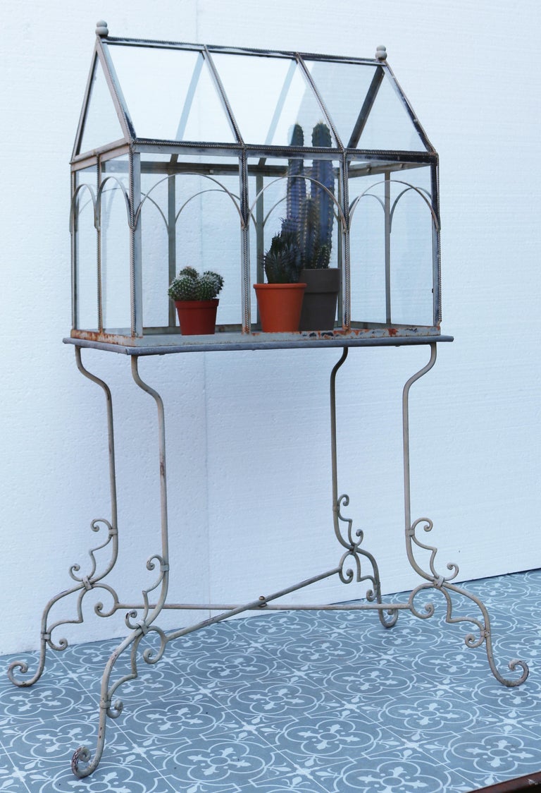 Victorian Style Terrarium For Sale at 1stDibs