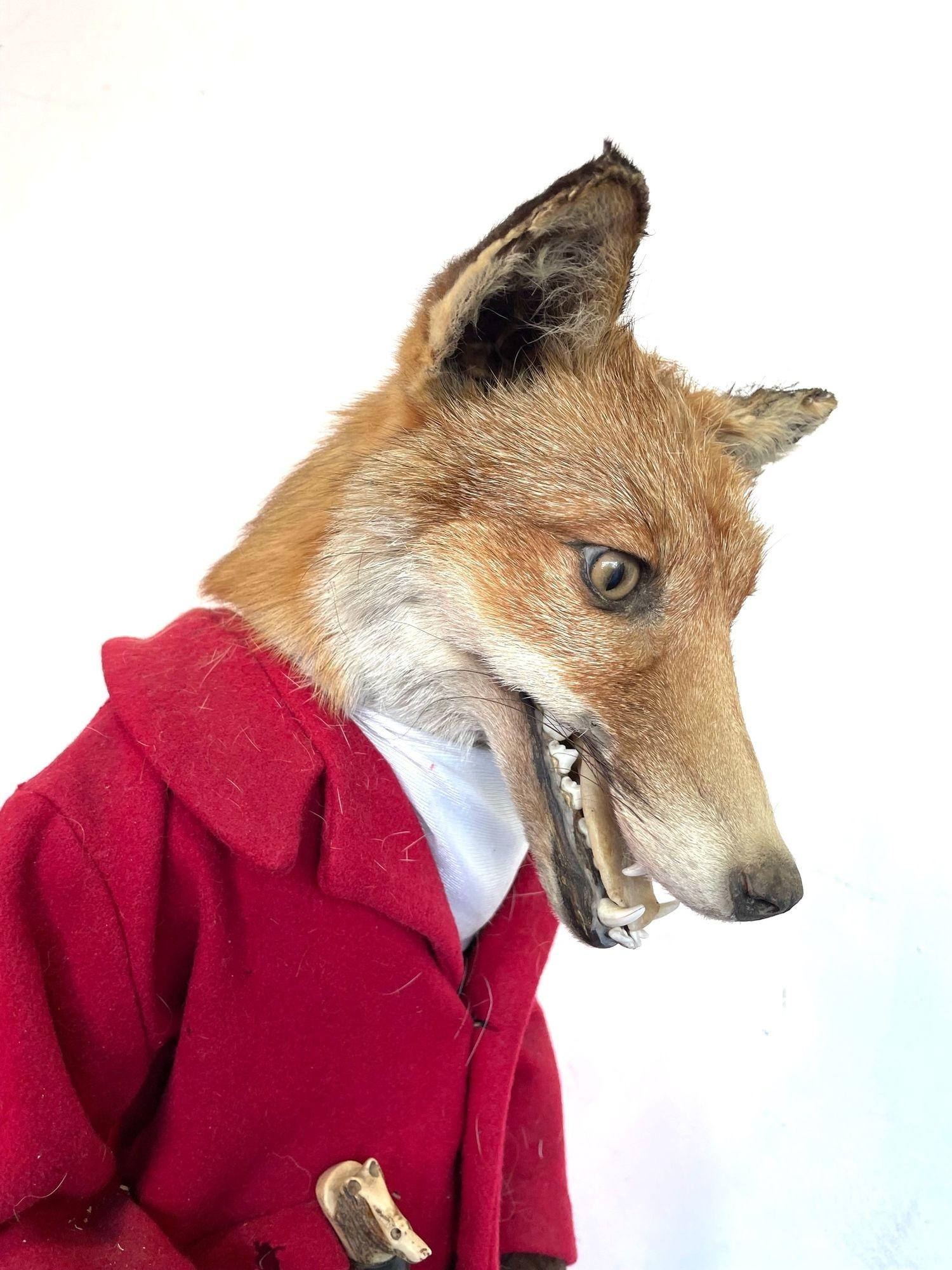 A Victorian taxidermy fox dressed in complete hunting outfit with leather boots For Sale 4