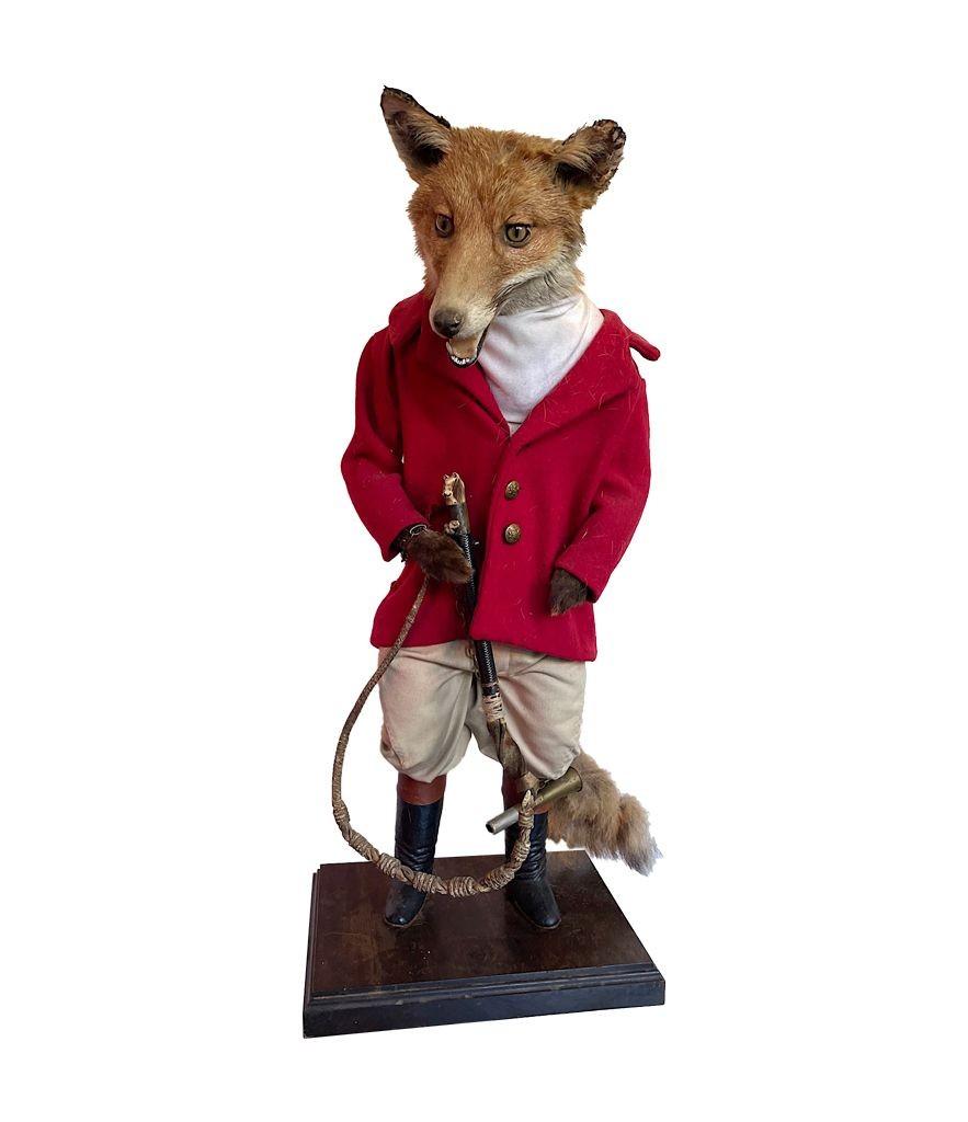 Britannique Un renard de taxidermie victorien habillé d'une tenue de chasse complète avec des bottes en cuir