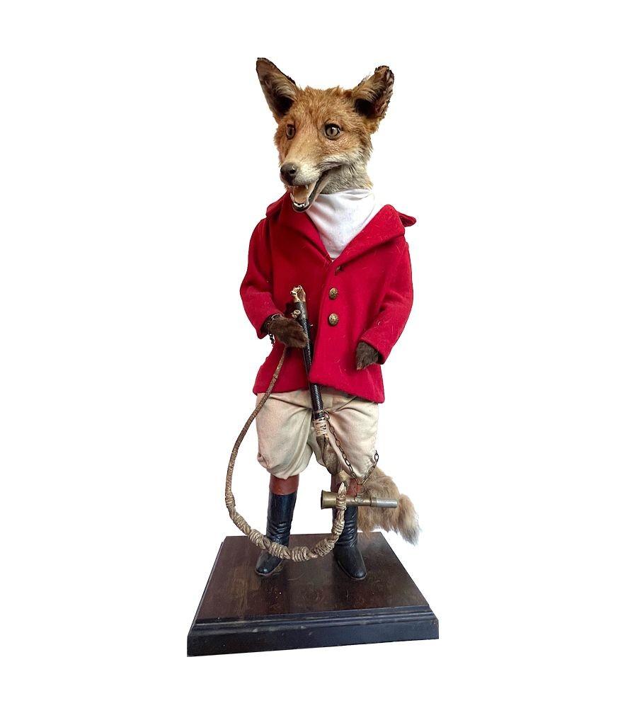 A Victorian taxidermy fox dressed in complete hunting outfit with leather boots For Sale 2