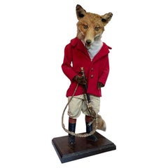 A Victorian taxidermy fox dressed in complete hunting outfit with leather boots