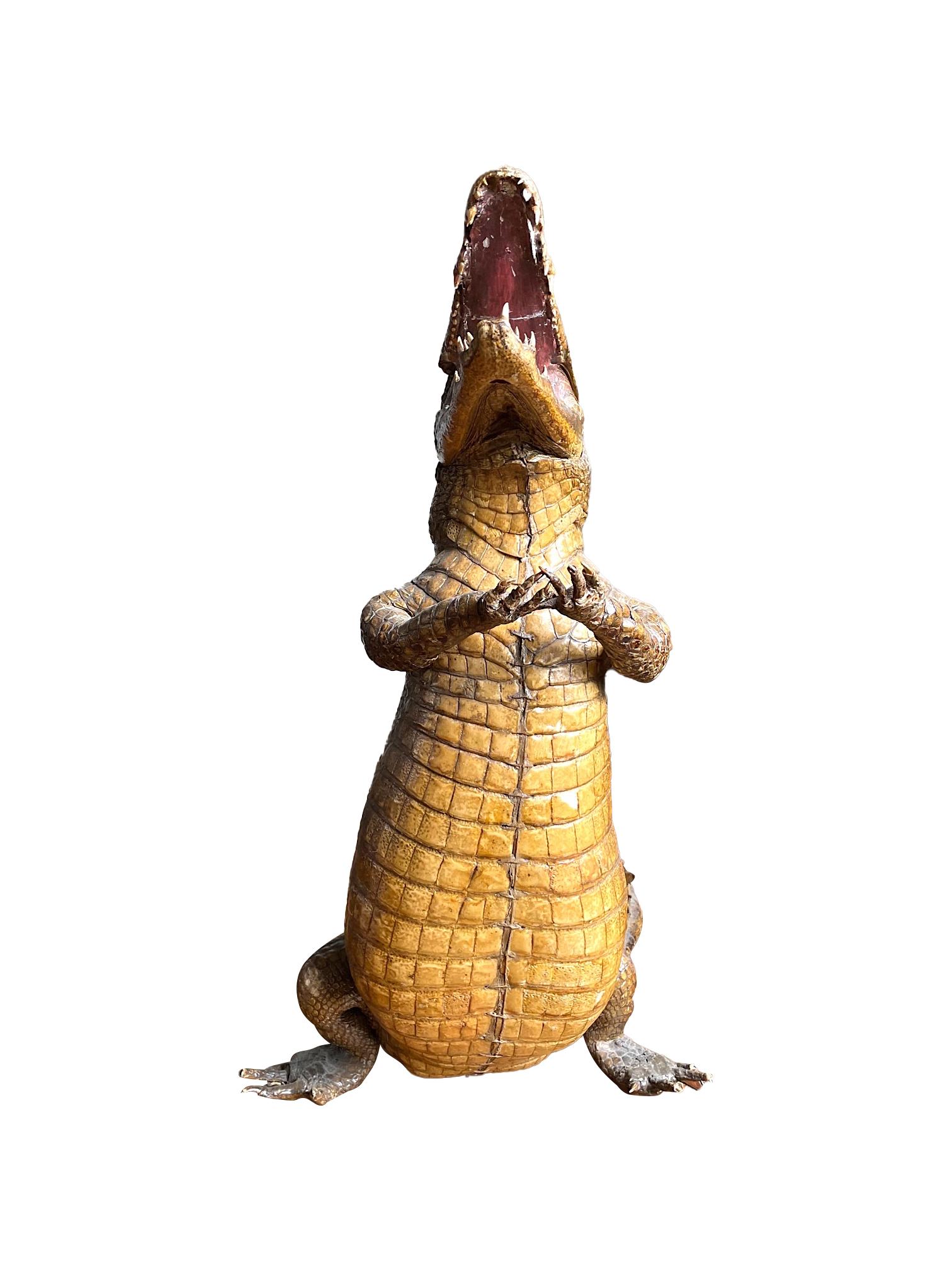crocodile hands