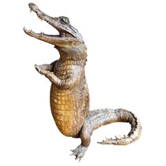 Crocodile de taxidermie victorien debout avec griffes serrées et gueule ouverte