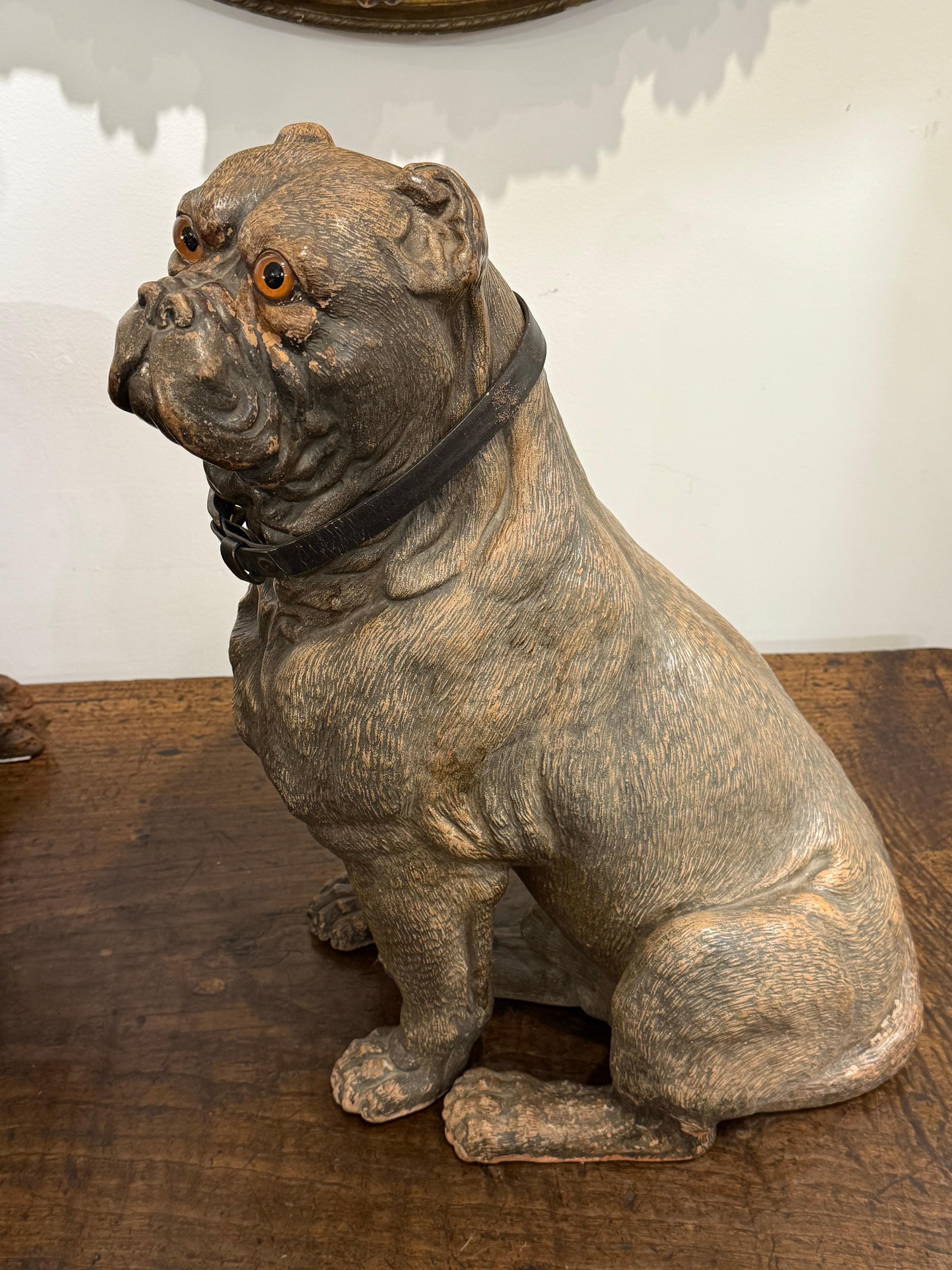 Vittoriano Modello vittoriano in terracotta di un bulldog, XIX secolo in vendita