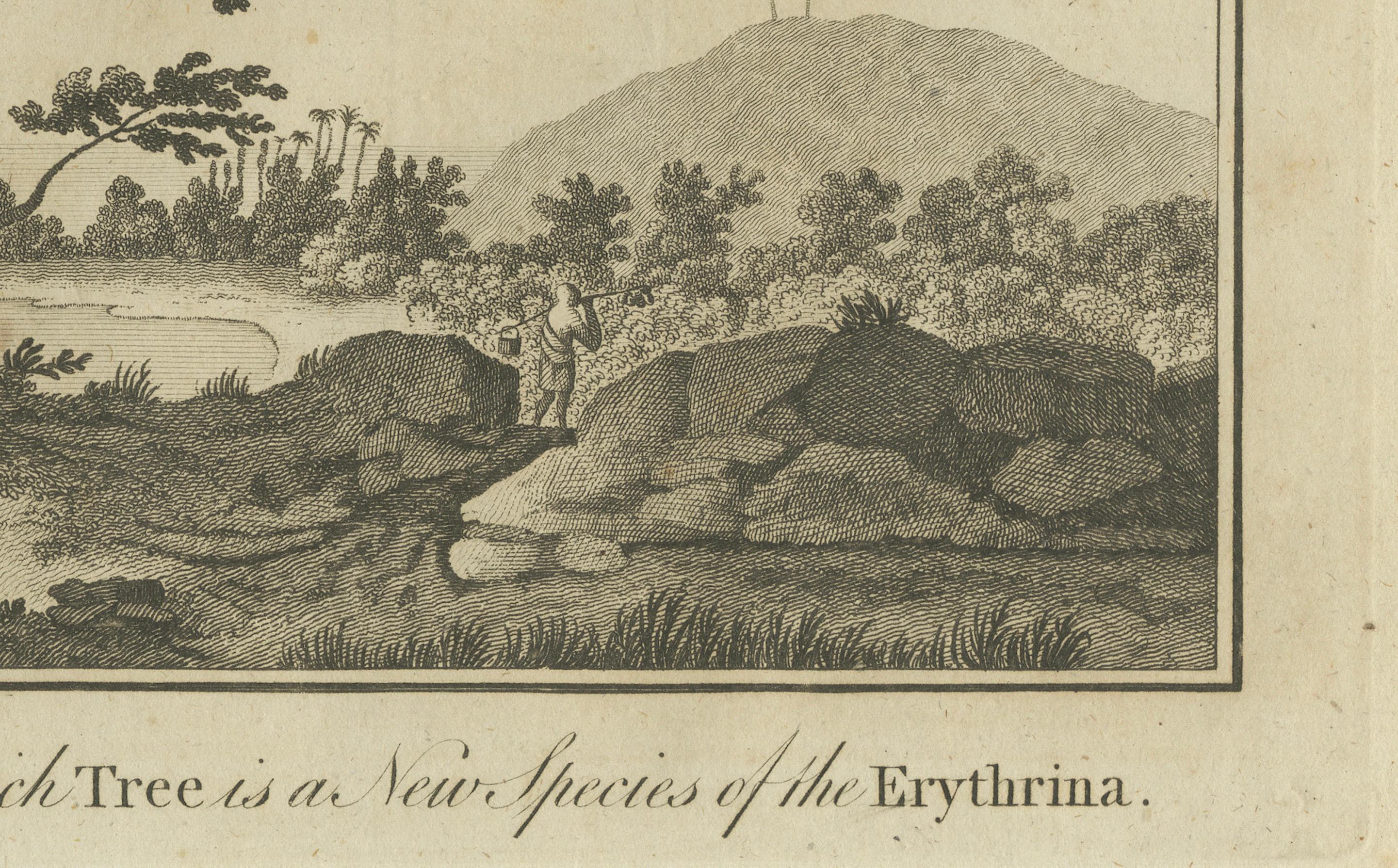 Vista de la bahía de Matavai desde One Tree Hill en Tahití, hacia 1785 Grabado en venta