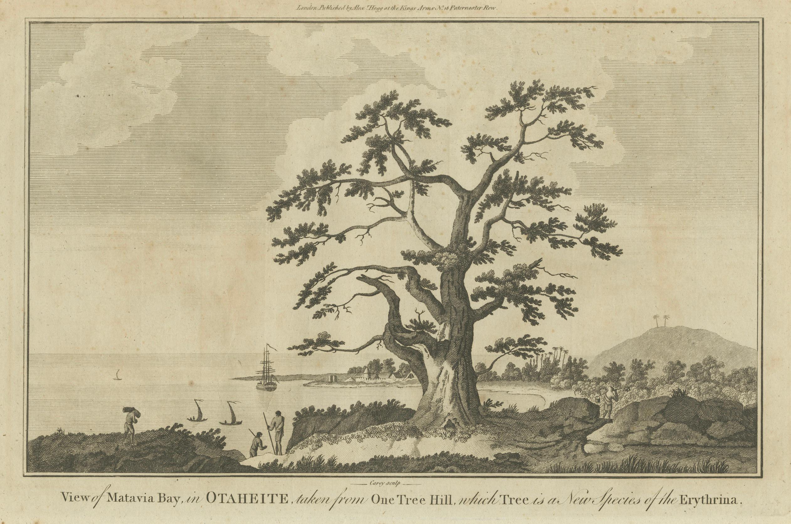 Vista de la bahía de Matavai desde One Tree Hill en Tahití, hacia 1785 finales del siglo XVIII en venta