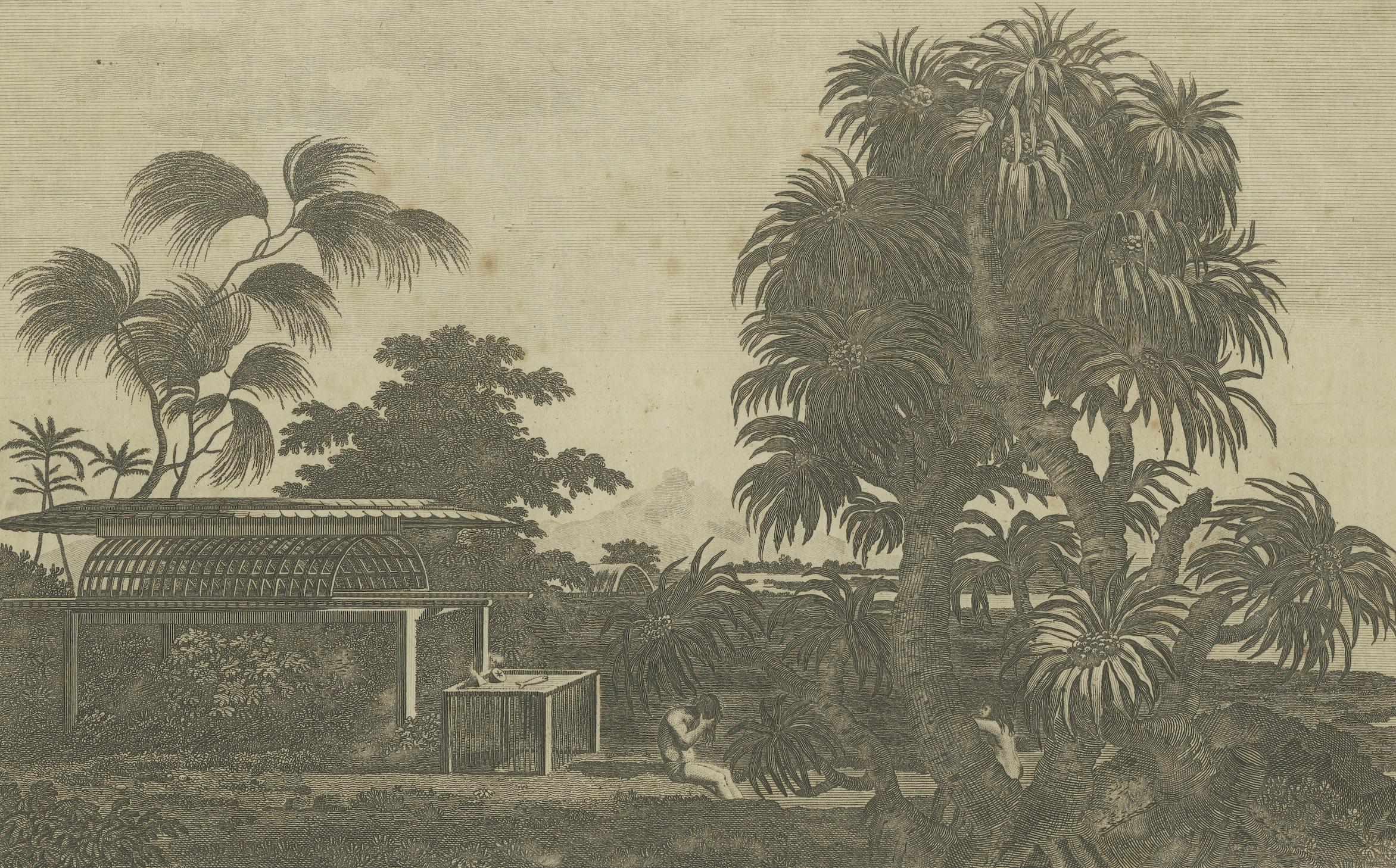 Engraved A View of the Ewharrano Eatua, or House of God, in Huahine from Cook's Voyages For Sale