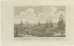 A View of the Whale-Fishery and the Manner of Killing Bears near Greenland, 1778