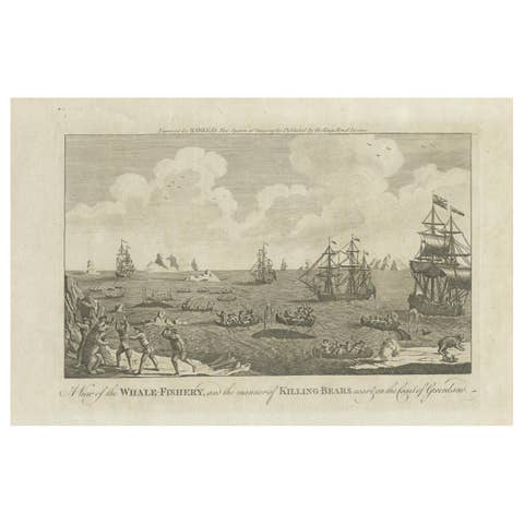 A View of the Whale-Fishery and the Manner of Killing Bears near Greenland, 1778