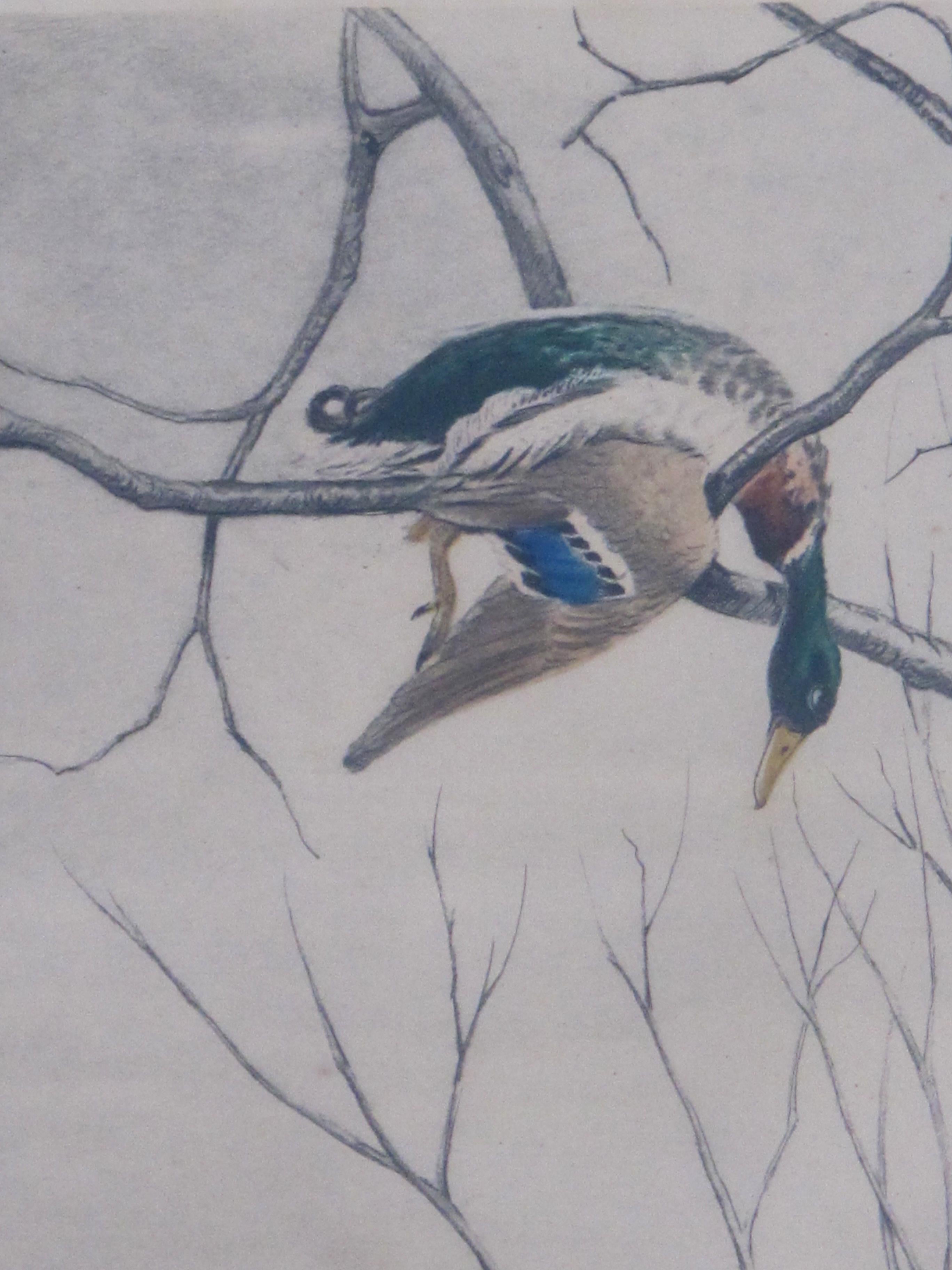 Mid-20th Century Vintage Handcolored Engraving Signed 'Setter et Canard Branche'; Leon Danchin