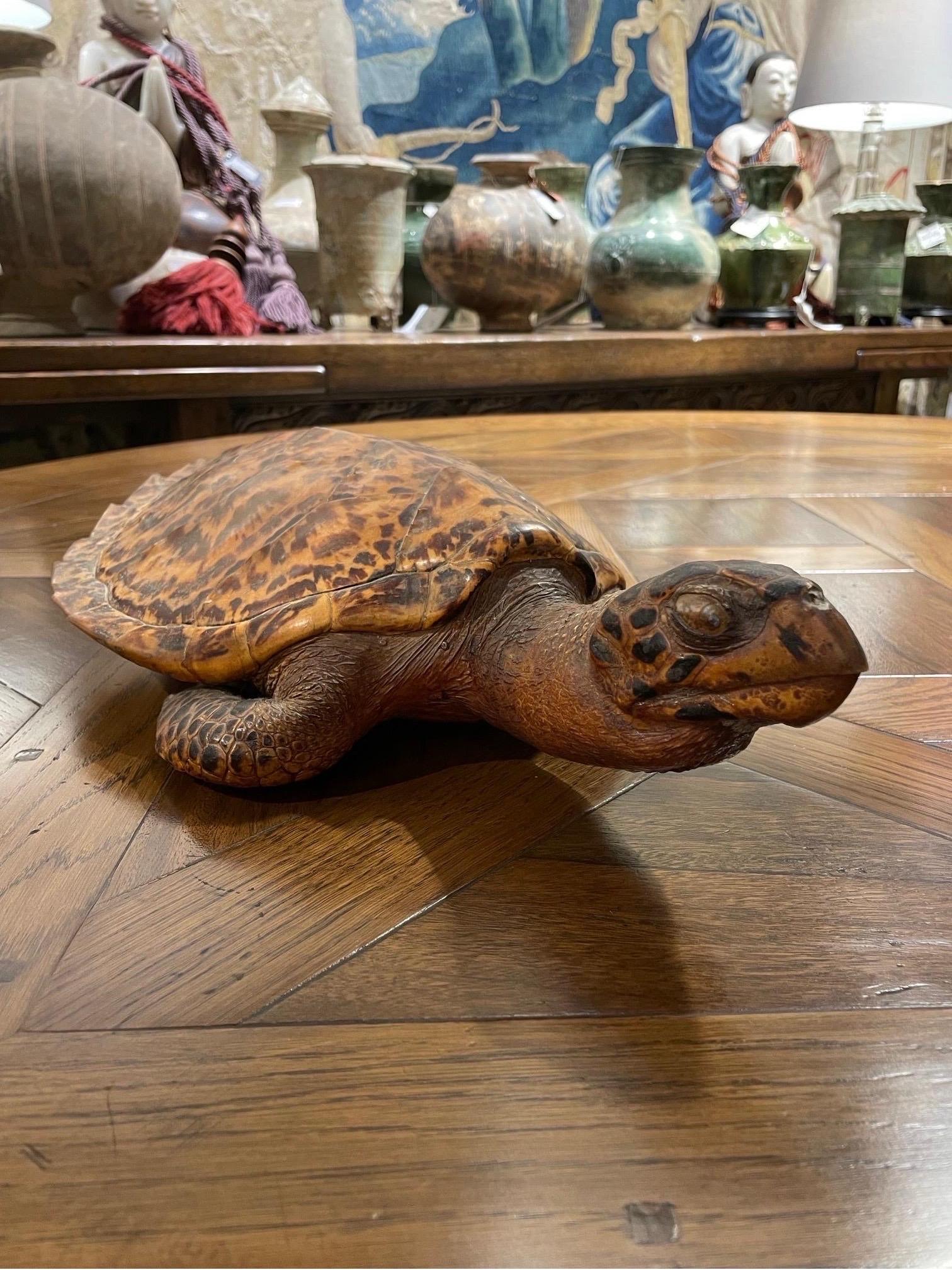 Una tartaruga marina Hawksbill tassidermica d'epoca In condizioni buone in vendita a ARMADALE, VIC