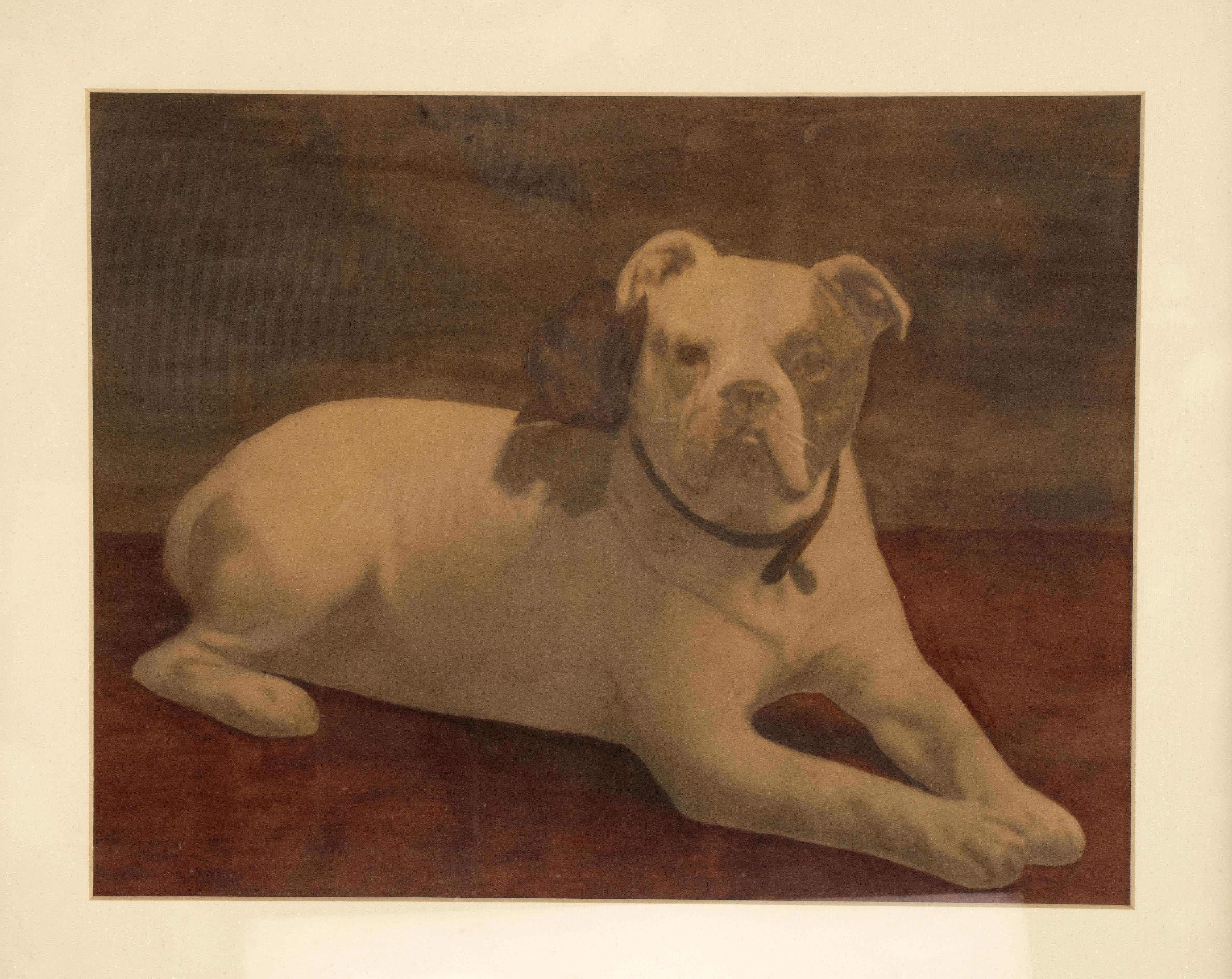 A watercolor finished print, depicting an English lying bulldog. Solid cherry wood frame, polished and beeswaxed. England circa 1910.