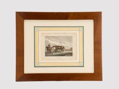 A watercolor finished print depicting racing horses, England 1799.
