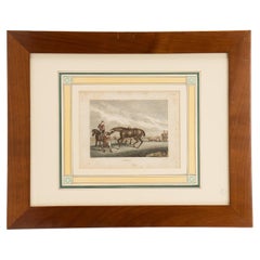 Paintings