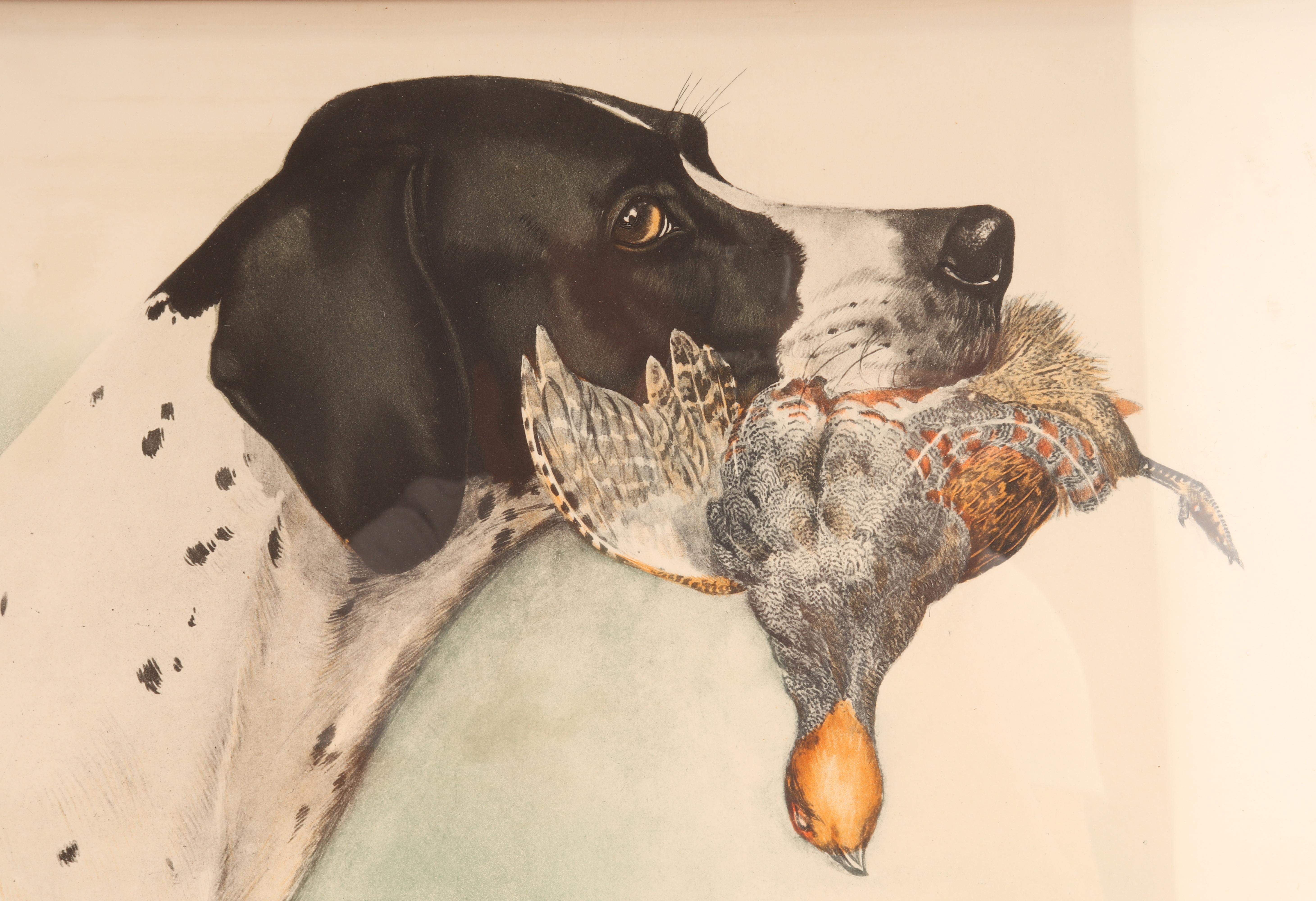 American Watercolor Finished Print Depicting the Head of a Pointer Dog, USA, 1920 For Sale