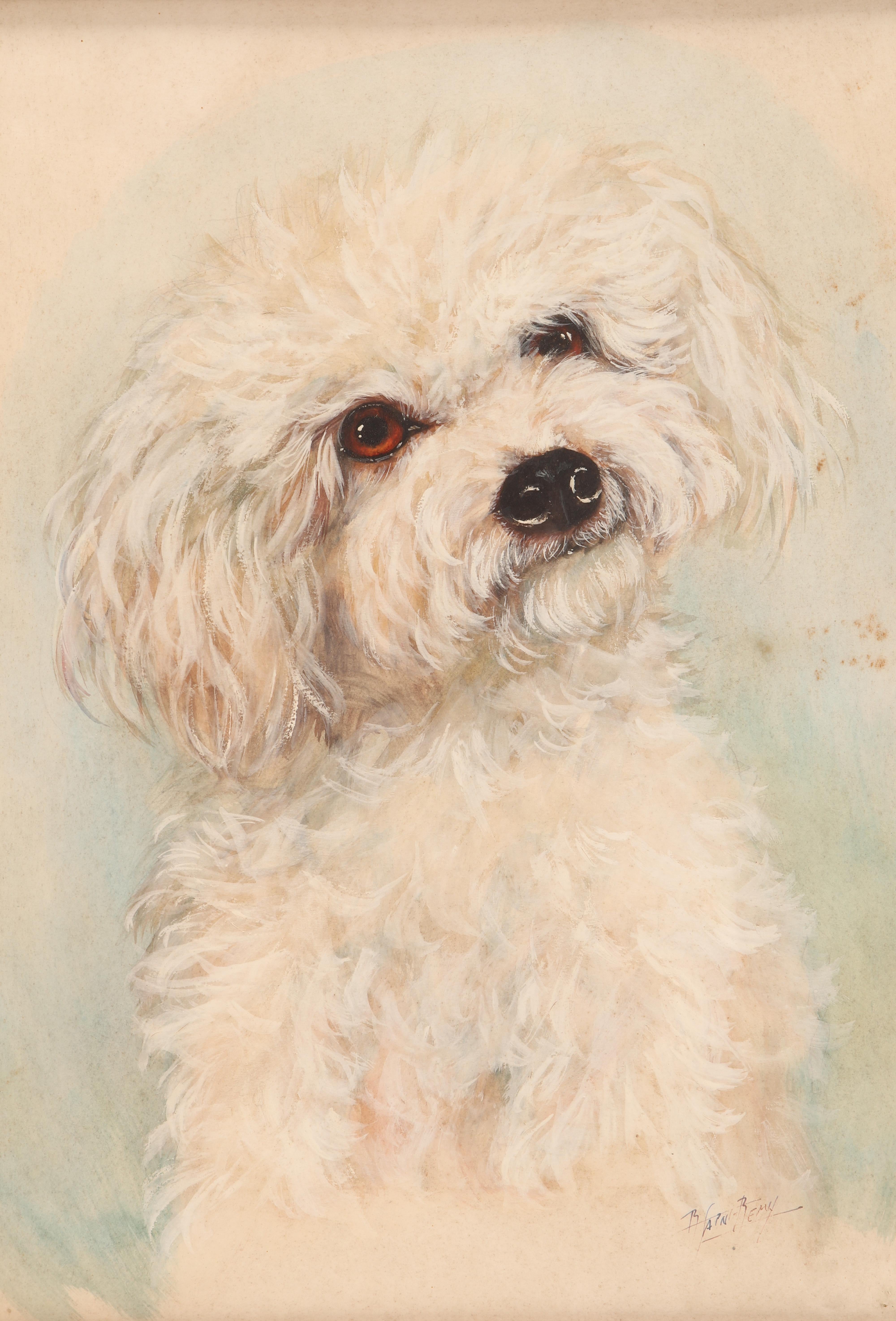 A watercolor painting, depicting a poodle. Signed. Solid cherry wood frame, polished and beeswaxed. England, 1930.