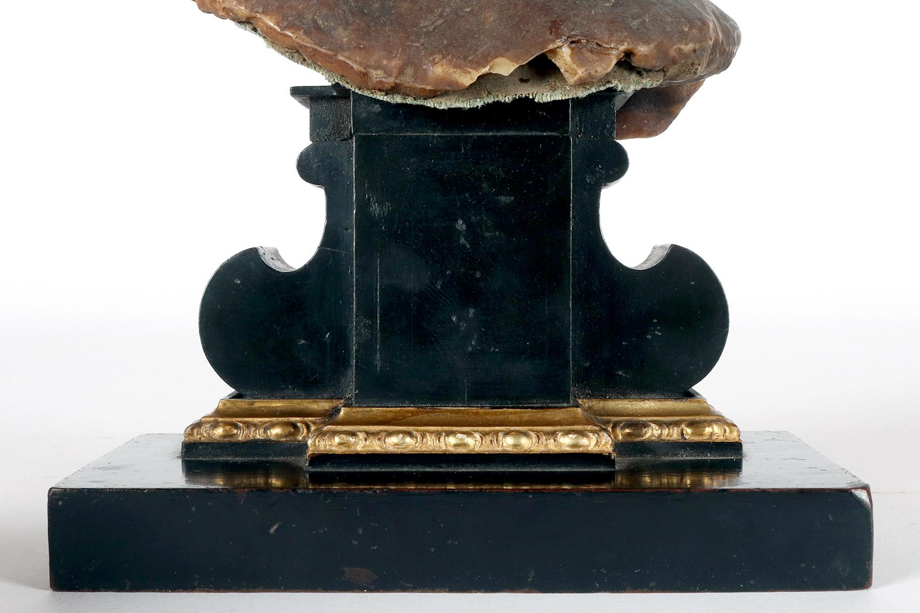 Scultura in cera (modellato in cera) di un busto di un santo, Italia fine XVIII secolo. in vendita 7