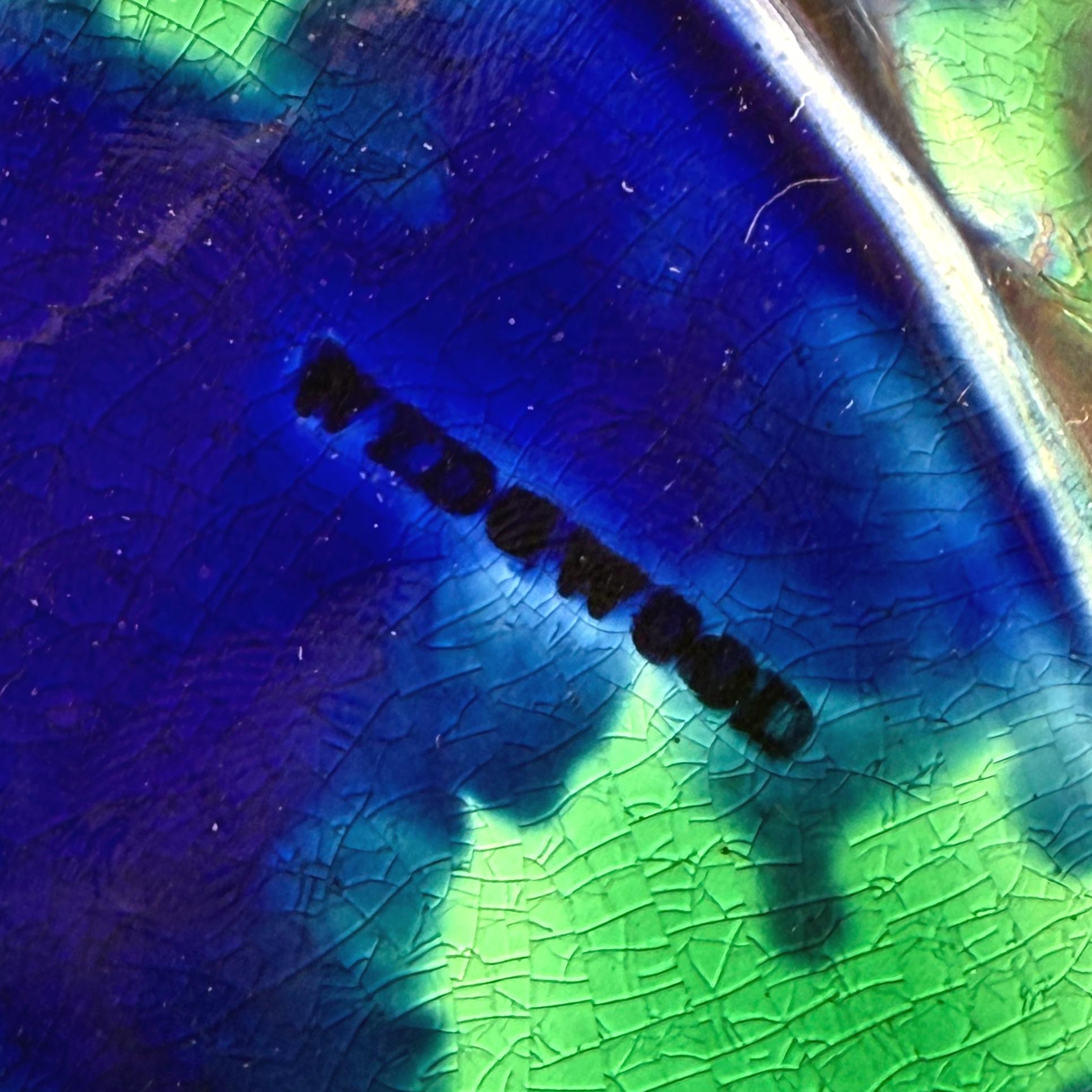 Plato de mayólica Wedgwood con perro, inglés, ca. 1873 en venta 3