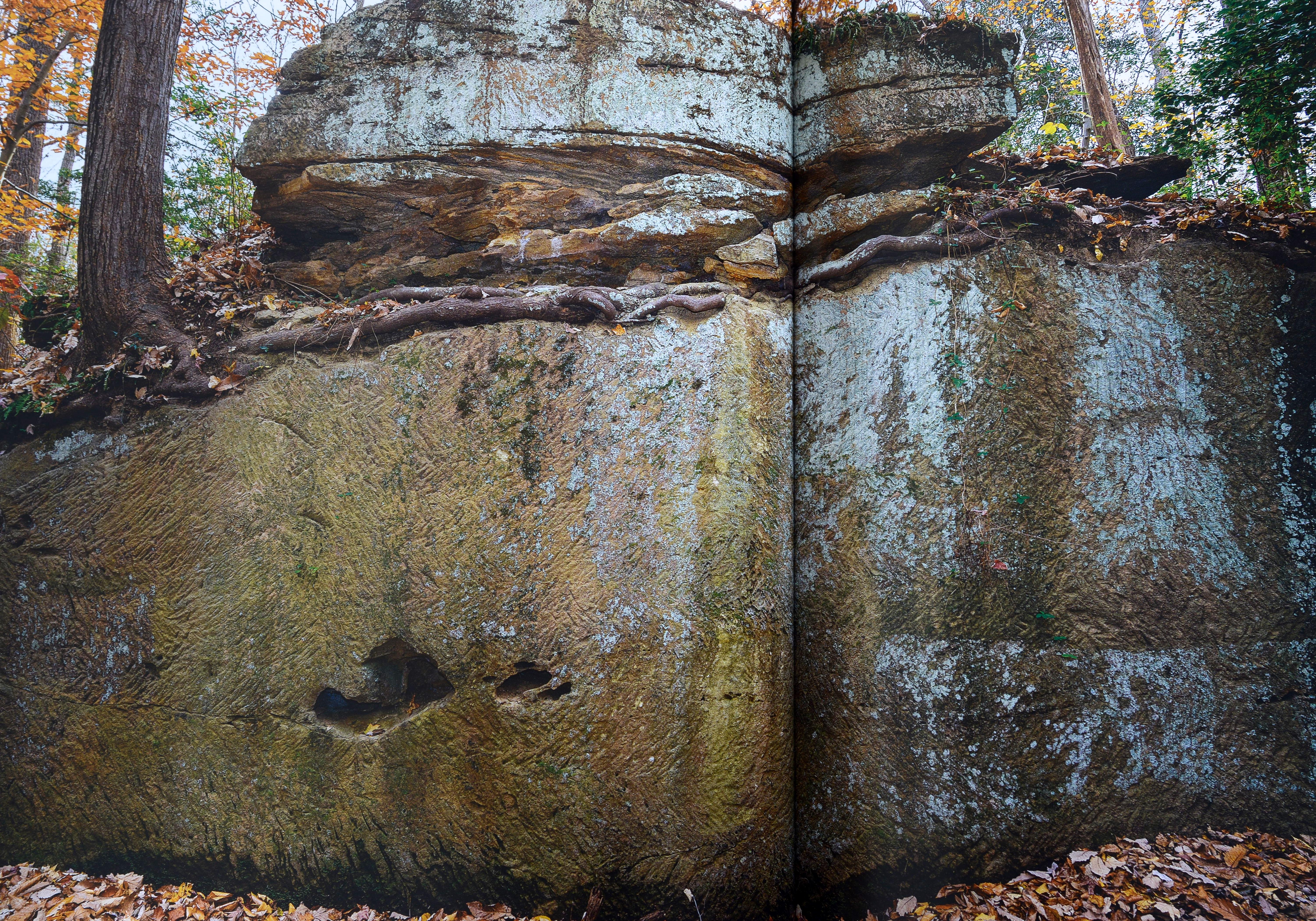 A White House of Stone : Building America's First Ideal in Architecture, 1st Ed Excellent état - En vente à valatie, NY