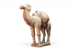 A White Pottery Tang Camel
