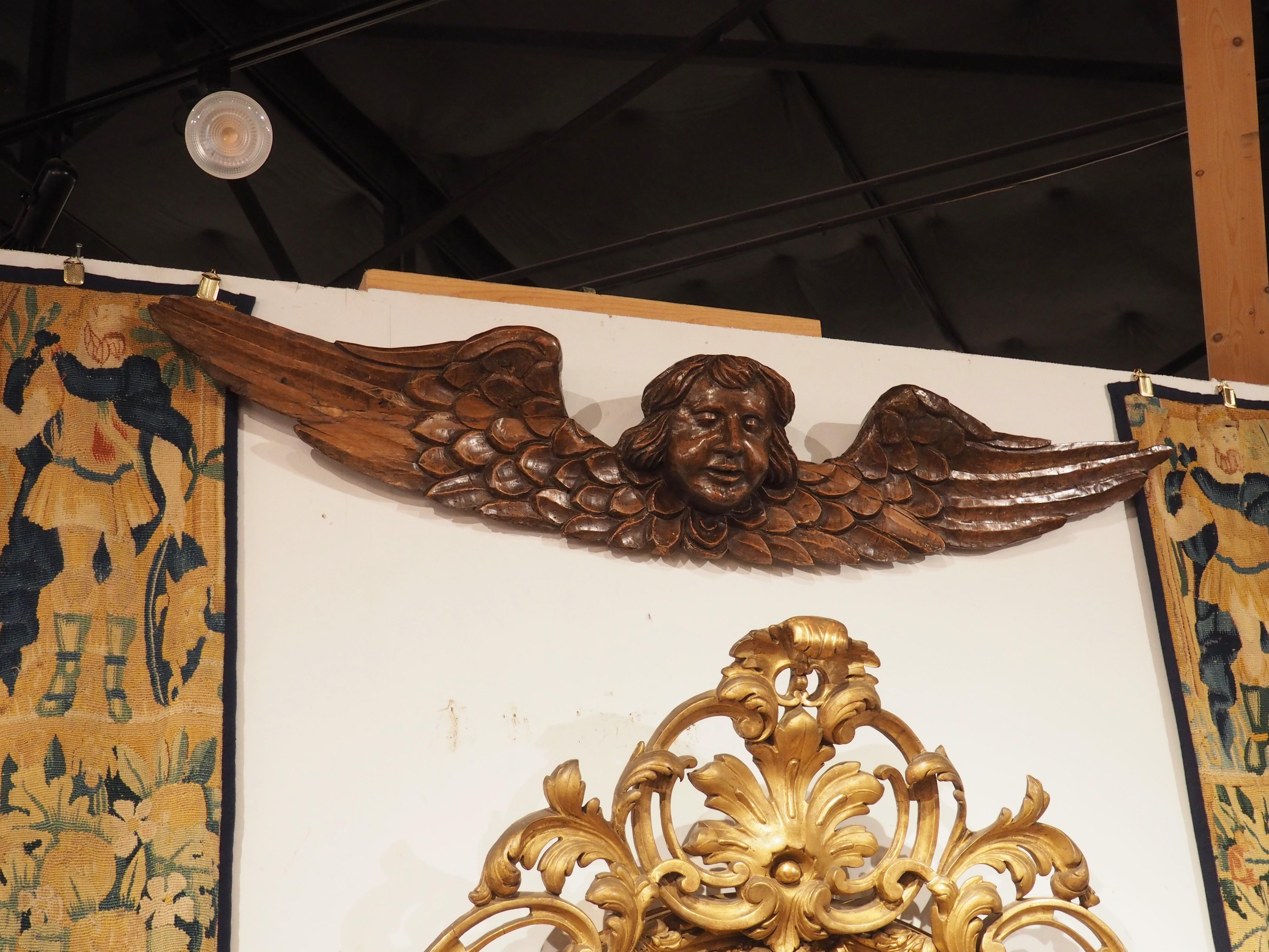 A Wide 17th Century Winged Angel in Carved Walnut Wood from France For Sale 6