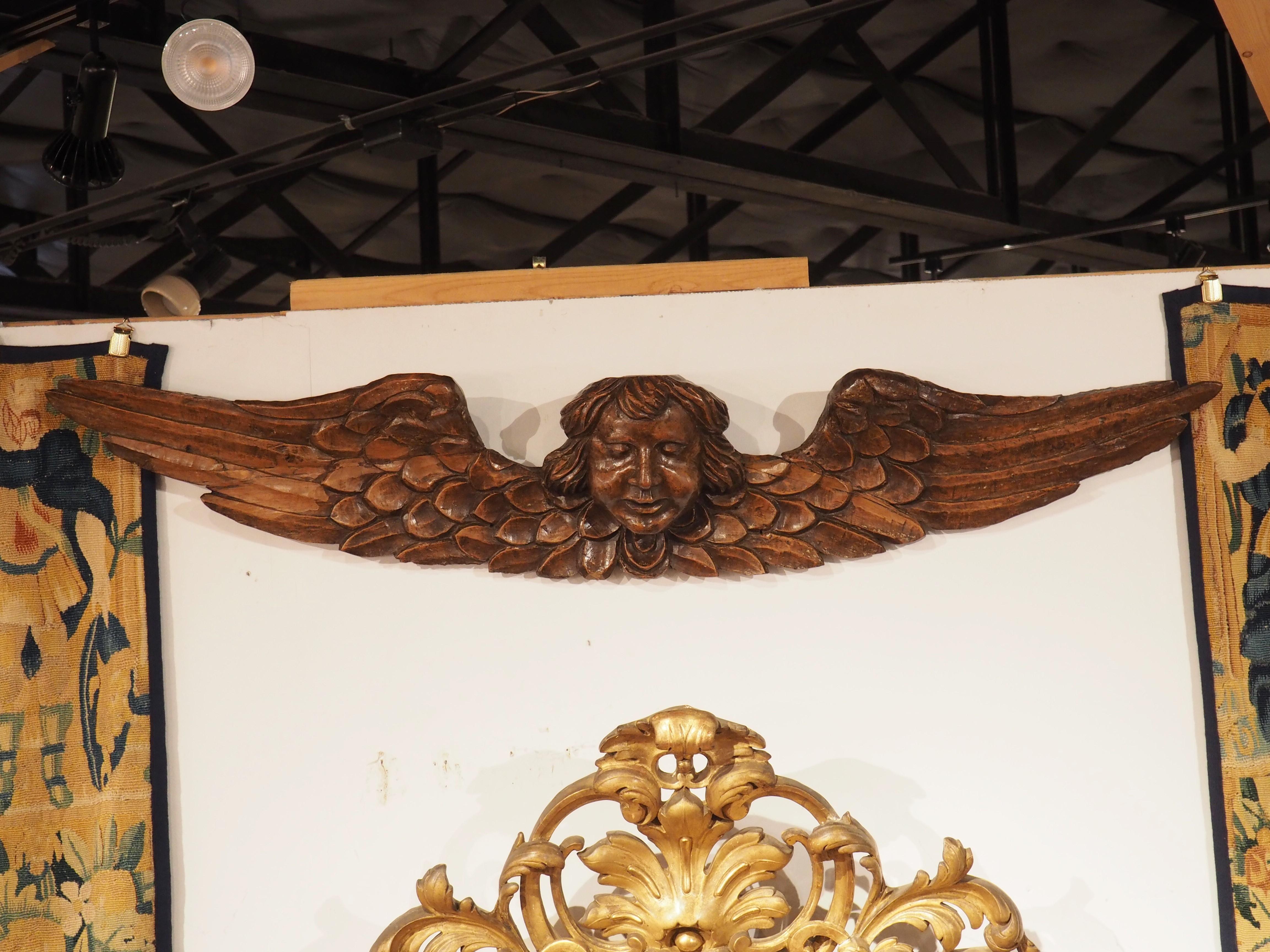 A Wide 17th Century Winged Angel in Carved Walnut Wood from France For Sale 7