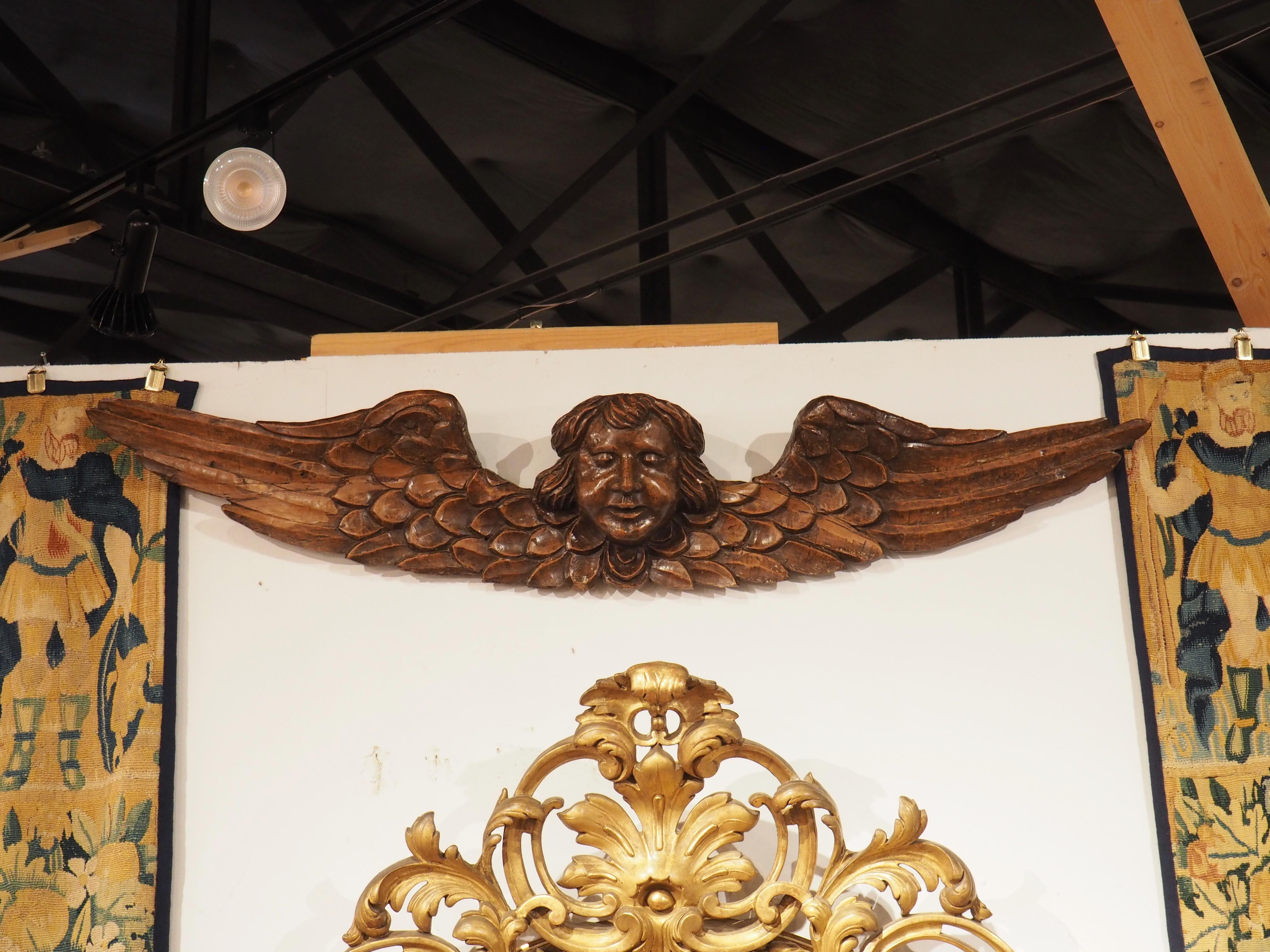 French A Wide 17th Century Winged Angel in Carved Walnut Wood from France For Sale