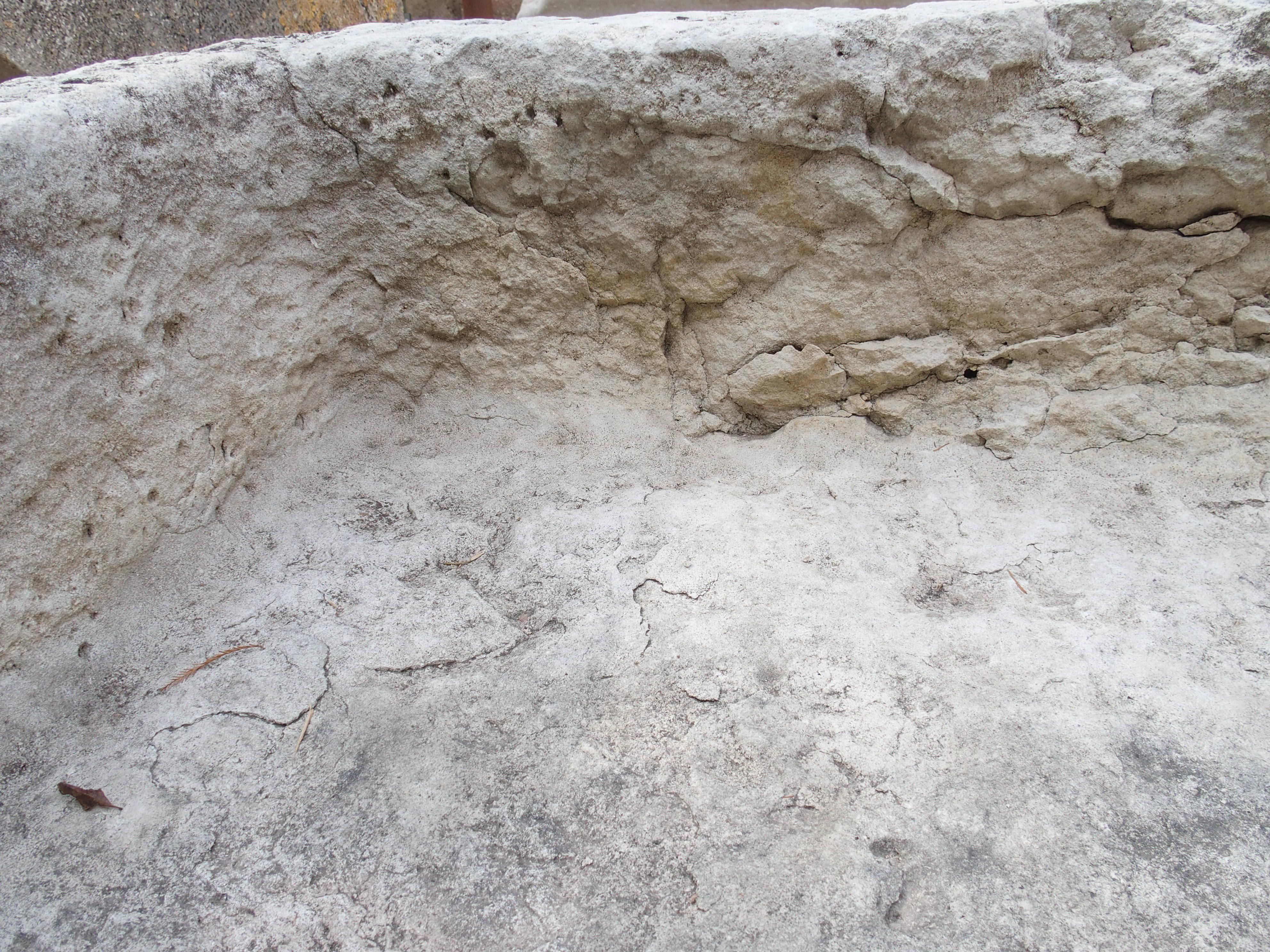 Ein breiter geschnitzter Kalksteintrog aus dem 18. Jahrhundert aus Südfrankreich im Angebot 5