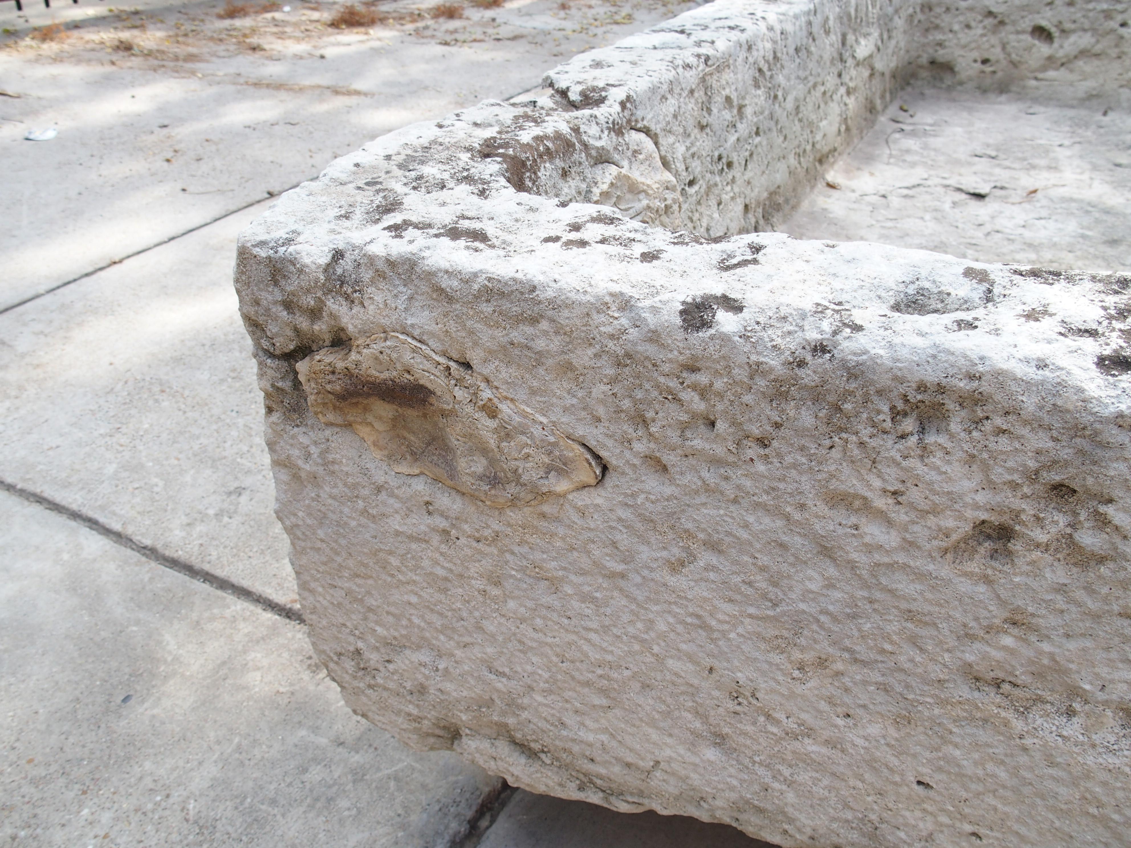 Ein breiter geschnitzter Kalksteintrog aus dem 18. Jahrhundert aus Südfrankreich im Angebot 8