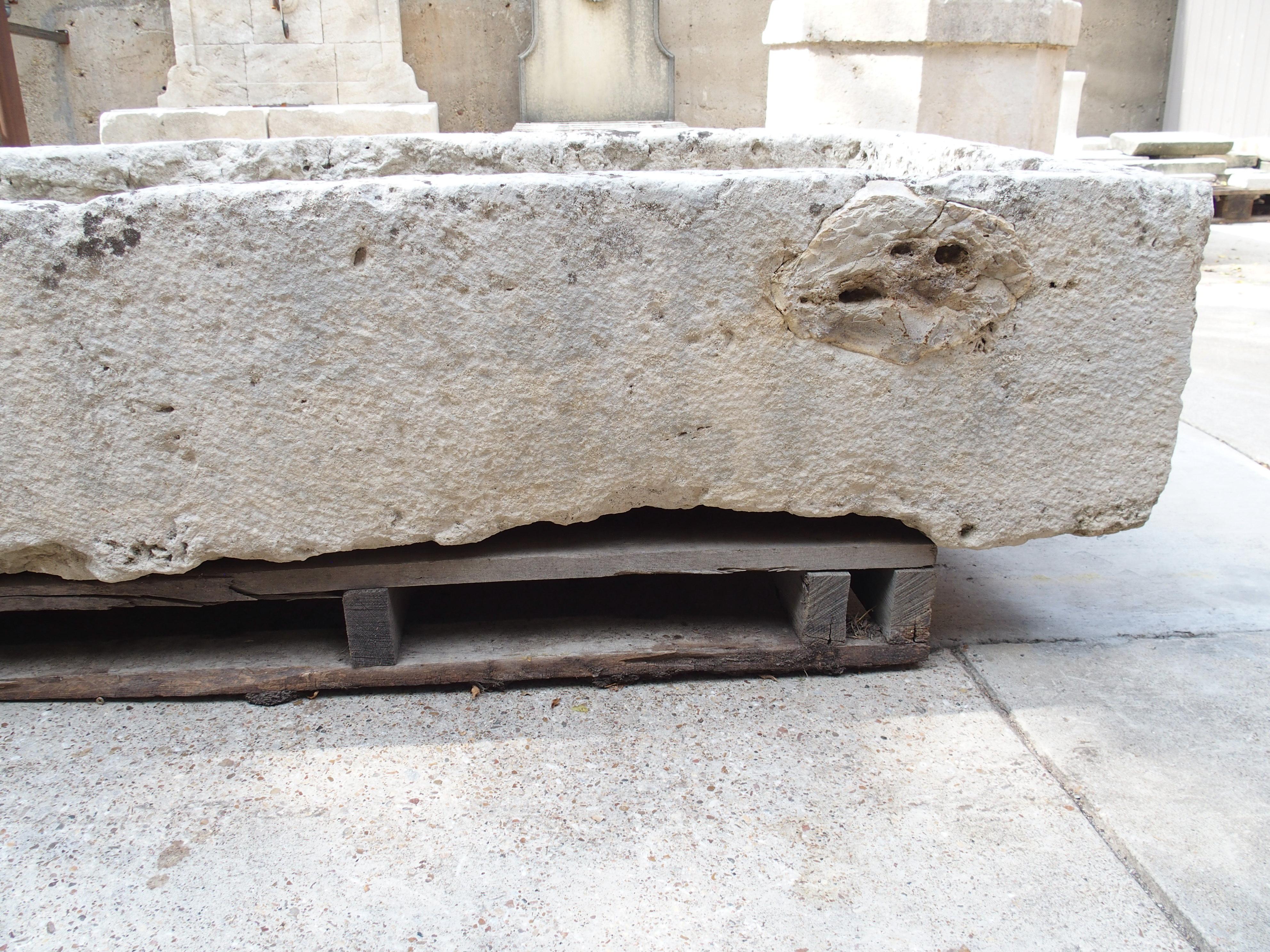 Ein breiter geschnitzter Kalksteintrog aus dem 18. Jahrhundert aus Südfrankreich im Angebot 11