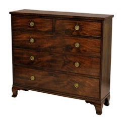 Antique William IV Prince of Wales Hall Chest