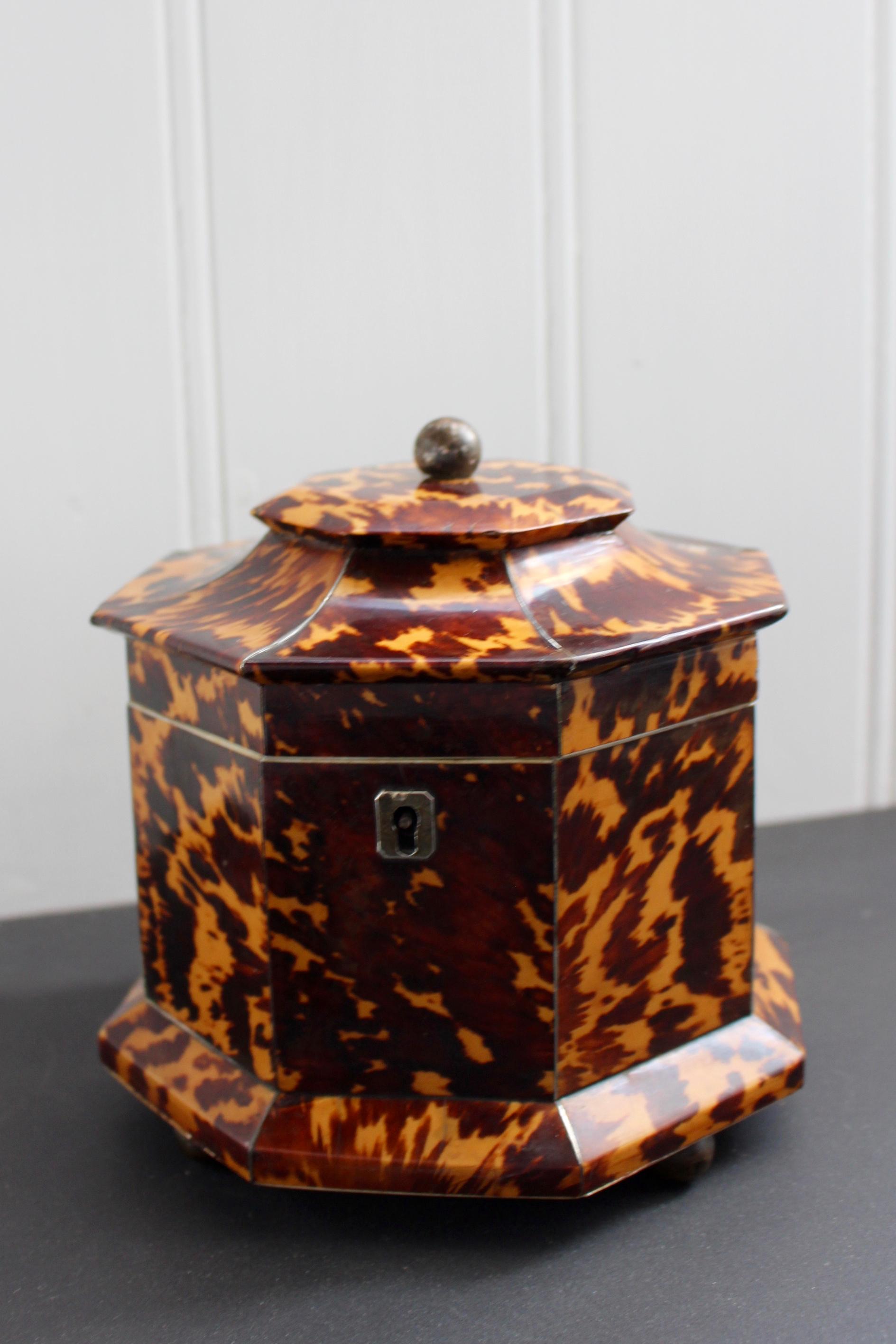 British William IV Tortoise Shell Tea Caddy