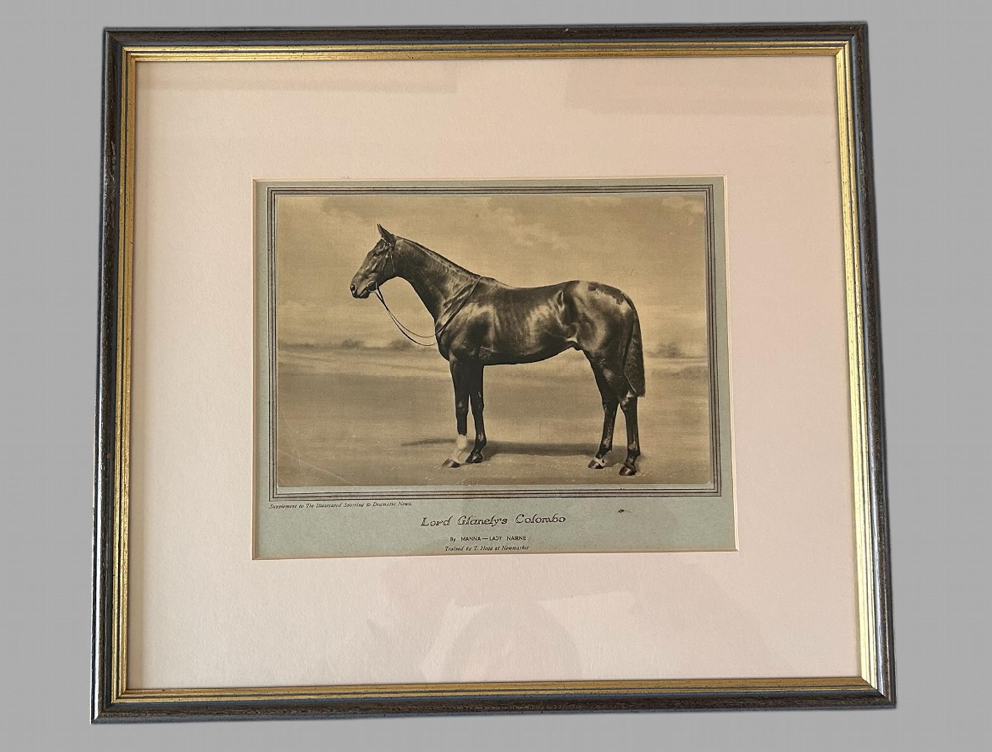Un ensemble encadré et vitré de huit tirages photographiques de chevaux de course célèbres provenant du supplément de The Ilustrated Sporting and Dramatic News de 1933 pour les enfants de 2 ans. Nom du propriétaire, nom du cheval, pedigree et
