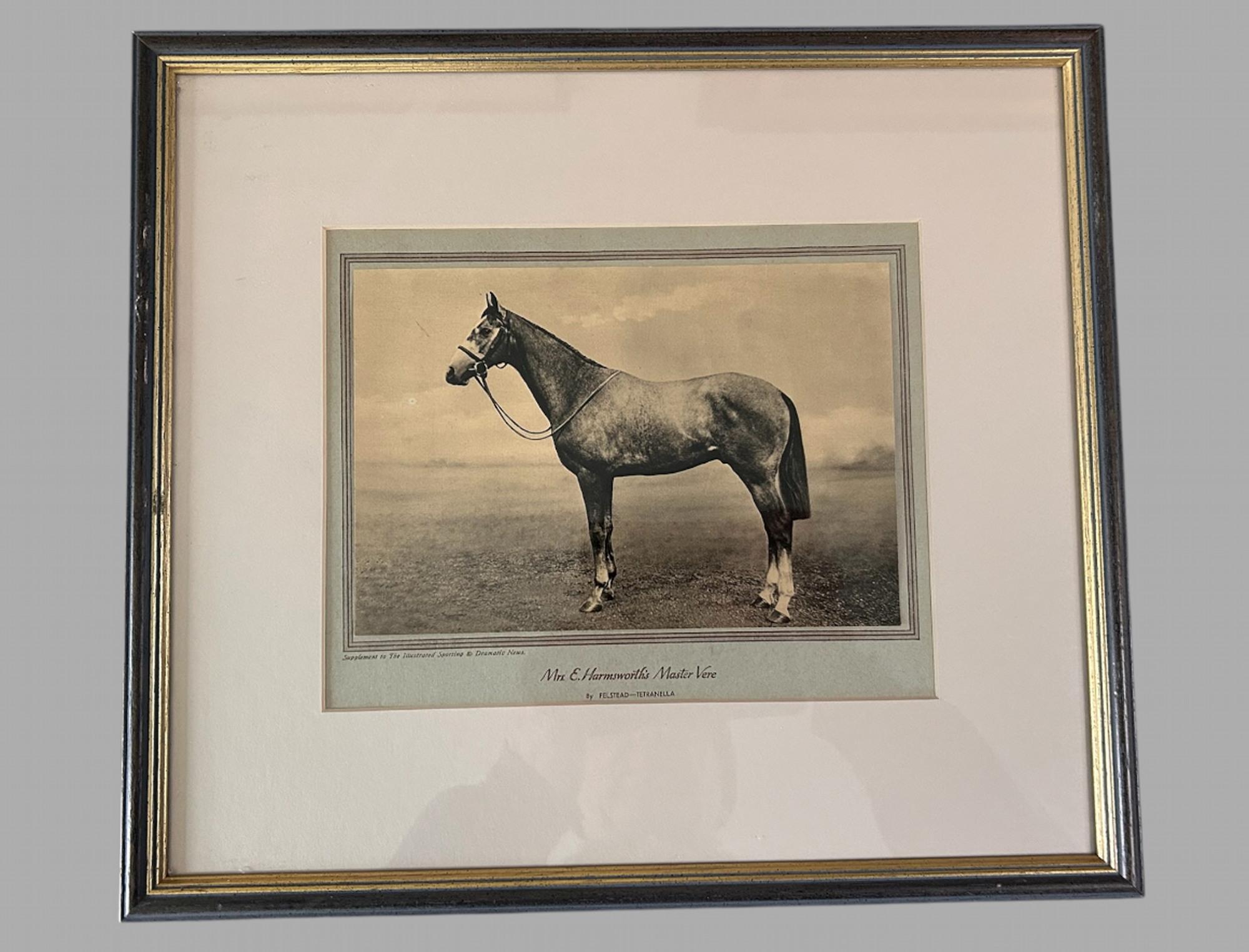 Magnifique ensemble de huit célèbres chevaux de course encadré et émaillé 1933 Bon état - En vente à Pewsey, GB
