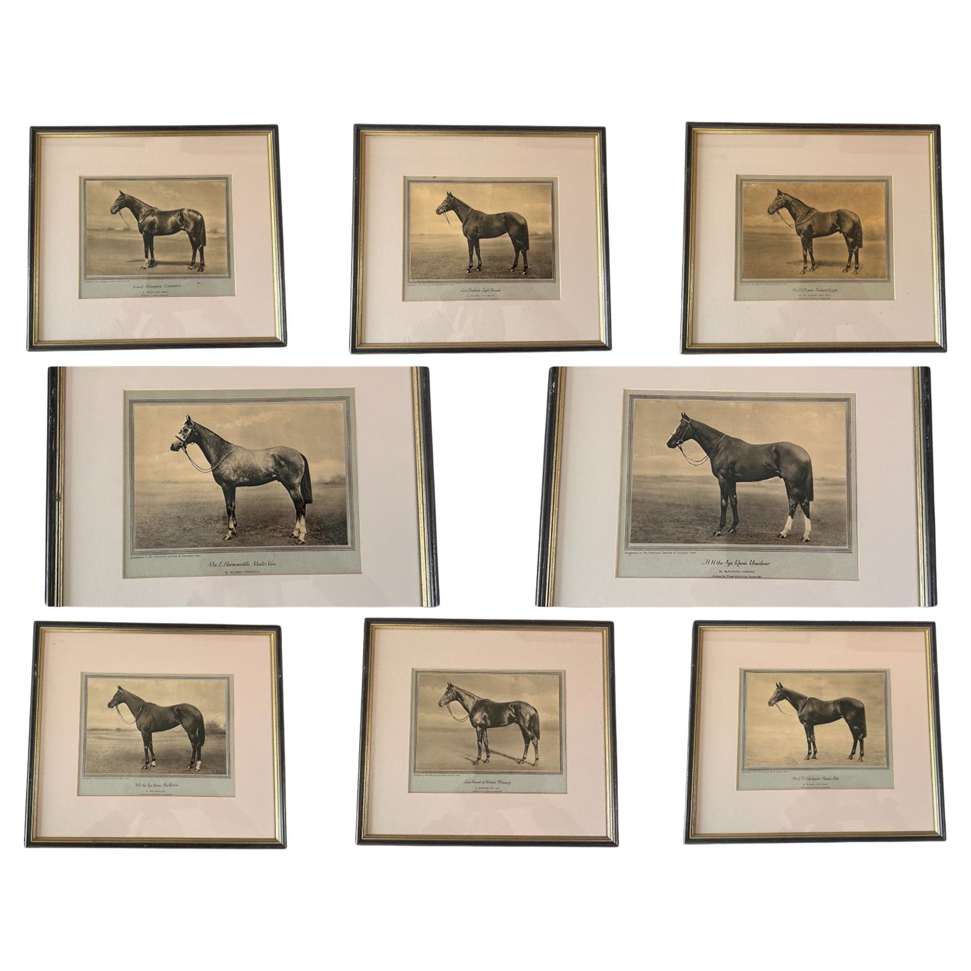 A Wonderful Set of Eight Famous Racehorses 1933 Framed & Glazed