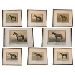 A Wonderful Set of Eight Famous Racehorses 1933 Framed & Glazed