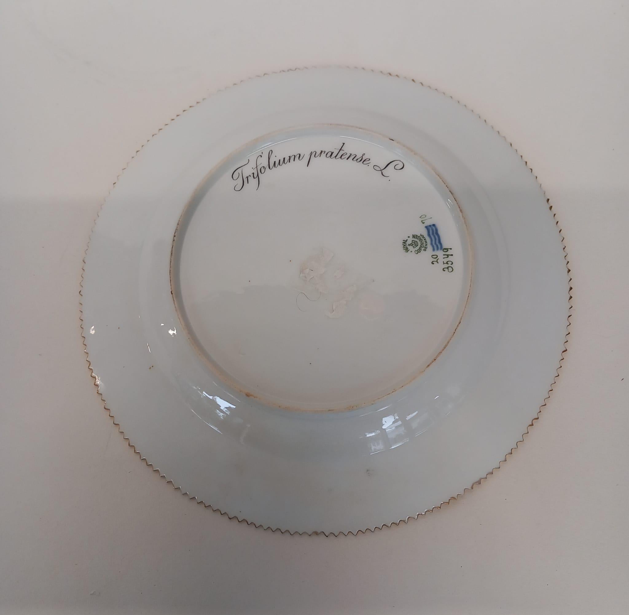 A wonderful set of six Flora Danica hand painted plates (4 dinner & 2 soup) For Sale 1