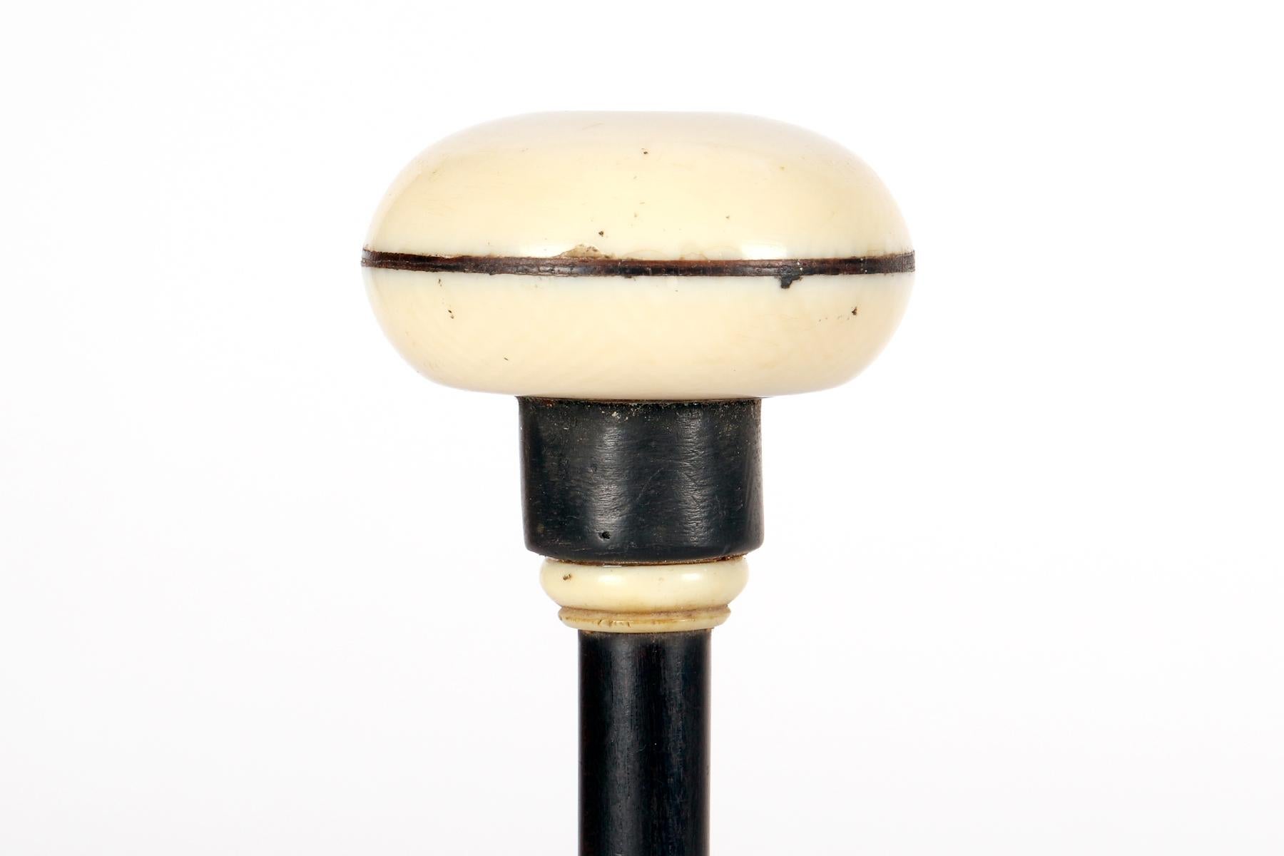 XIXe siècle Un stethoscope en bois et ivoire, France, 1850. en vente