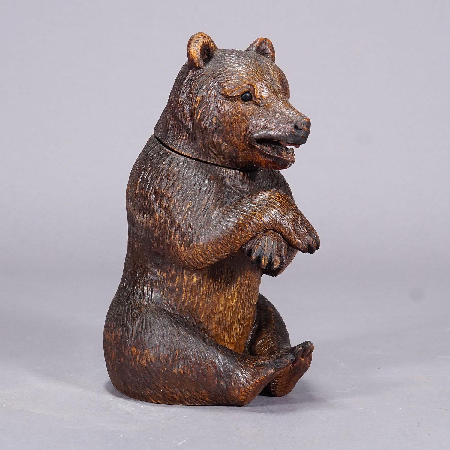 Swiss A Wooden Carved Black Forest Bear Humidor ca. 1900s