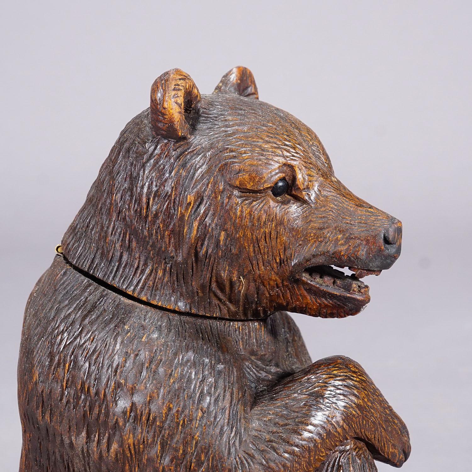 A Wooden Carved Black Forest Bear Humidor ca. 1900s In Good Condition In Berghuelen, DE