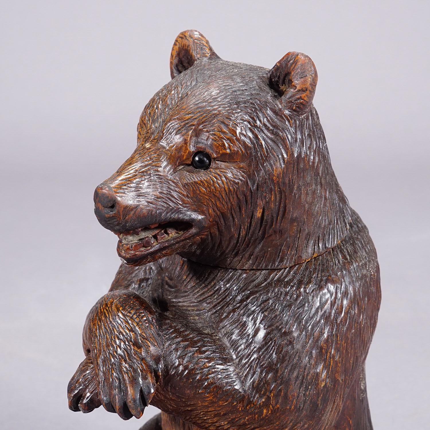 20th Century A Wooden Carved Black Forest Bear Humidor ca. 1900s
