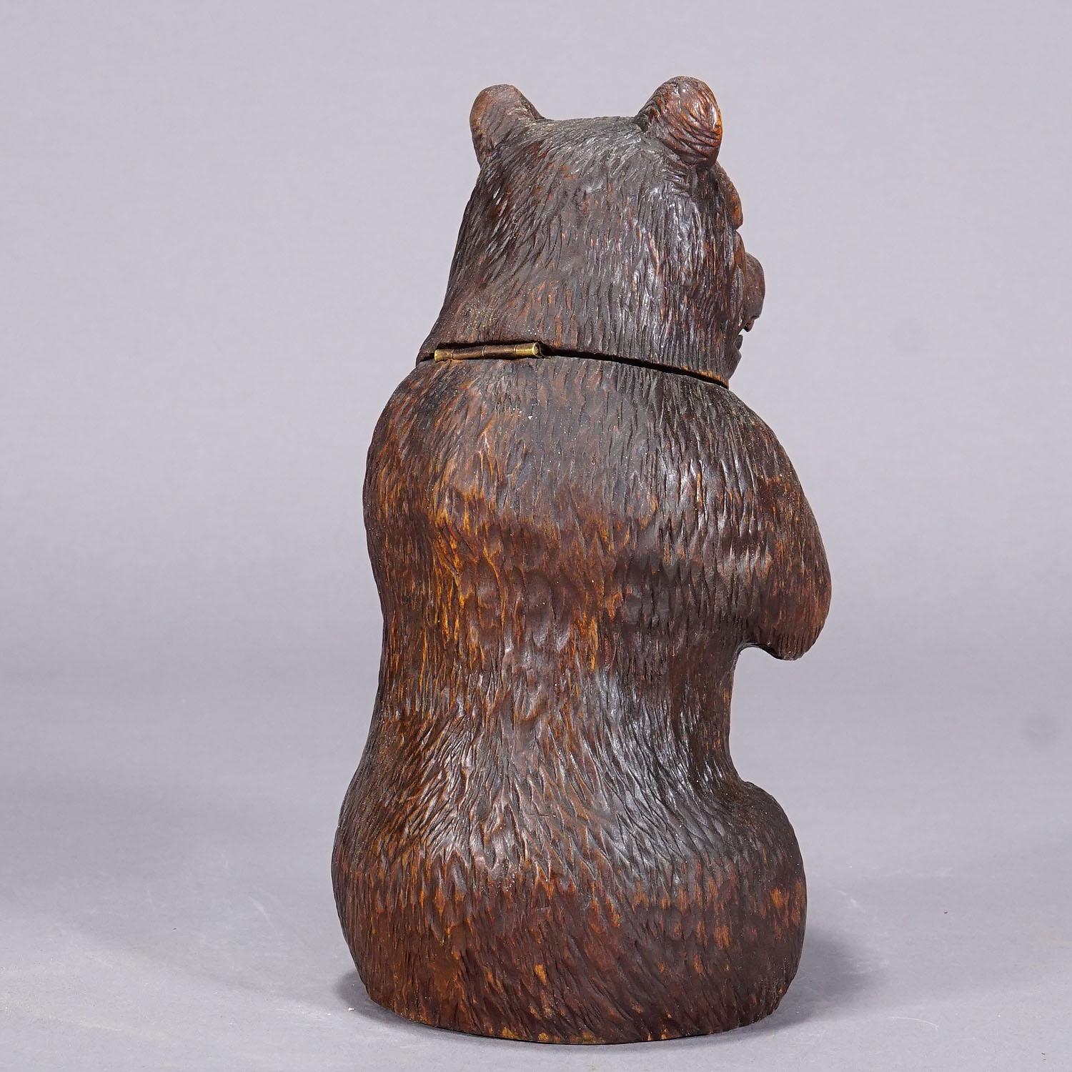 A Wooden Carved Black Forest Bear Humidor ca. 1900s 2