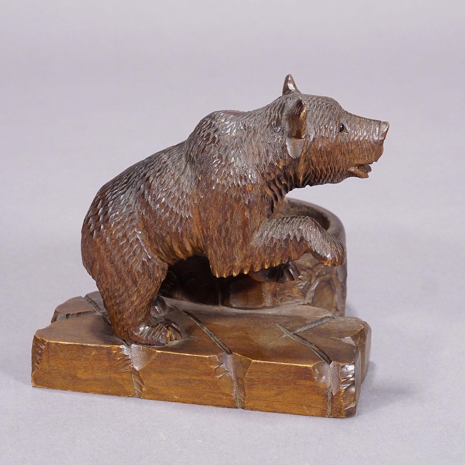 Swiss A Wooden Carved Black Forest Bear with Bowl ca. 1920s For Sale