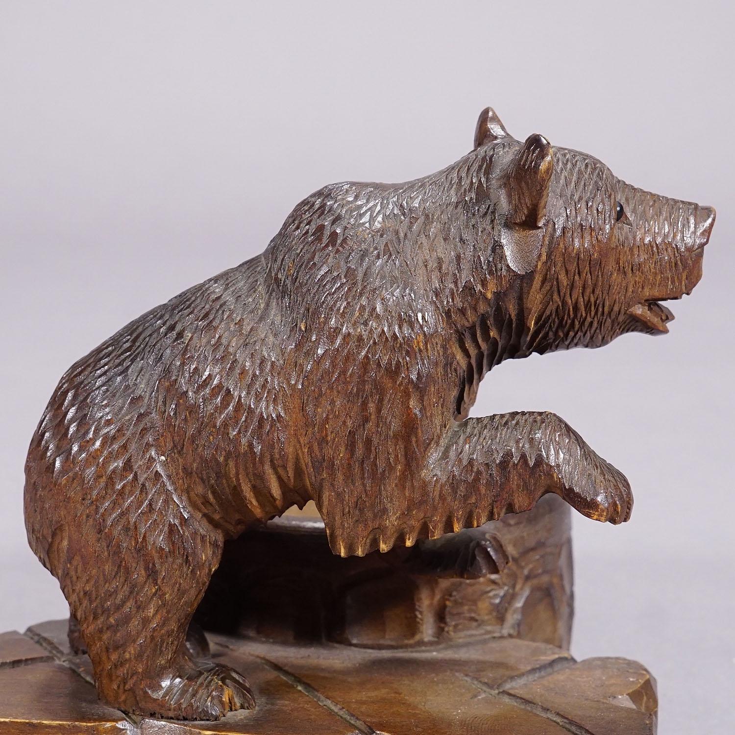 Oso de Black Forest tallado en madera con cuenco ca. 1920 Suizo en venta