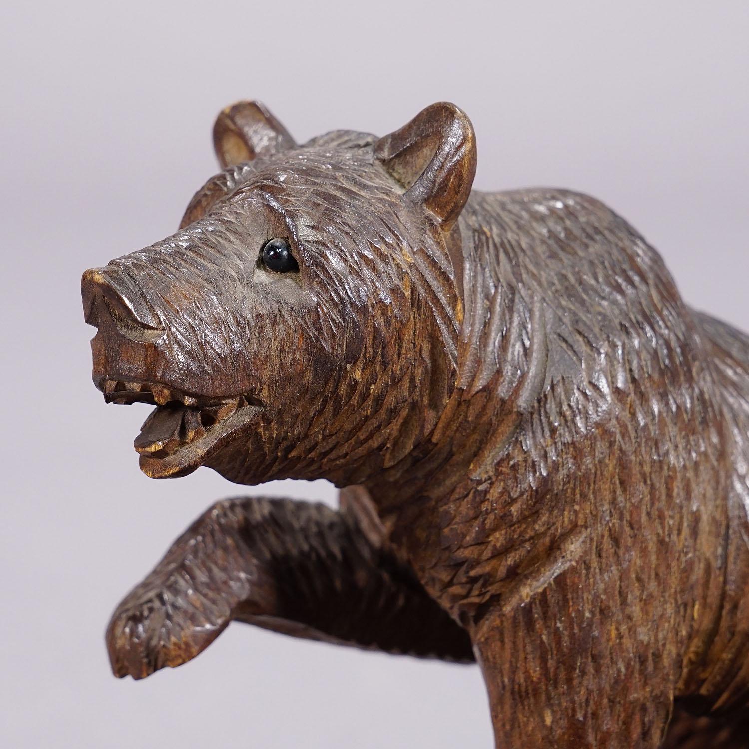 A Wooden Carved Black Forest Bear with Bowl ca. 1920s In Good Condition For Sale In Berghuelen, DE