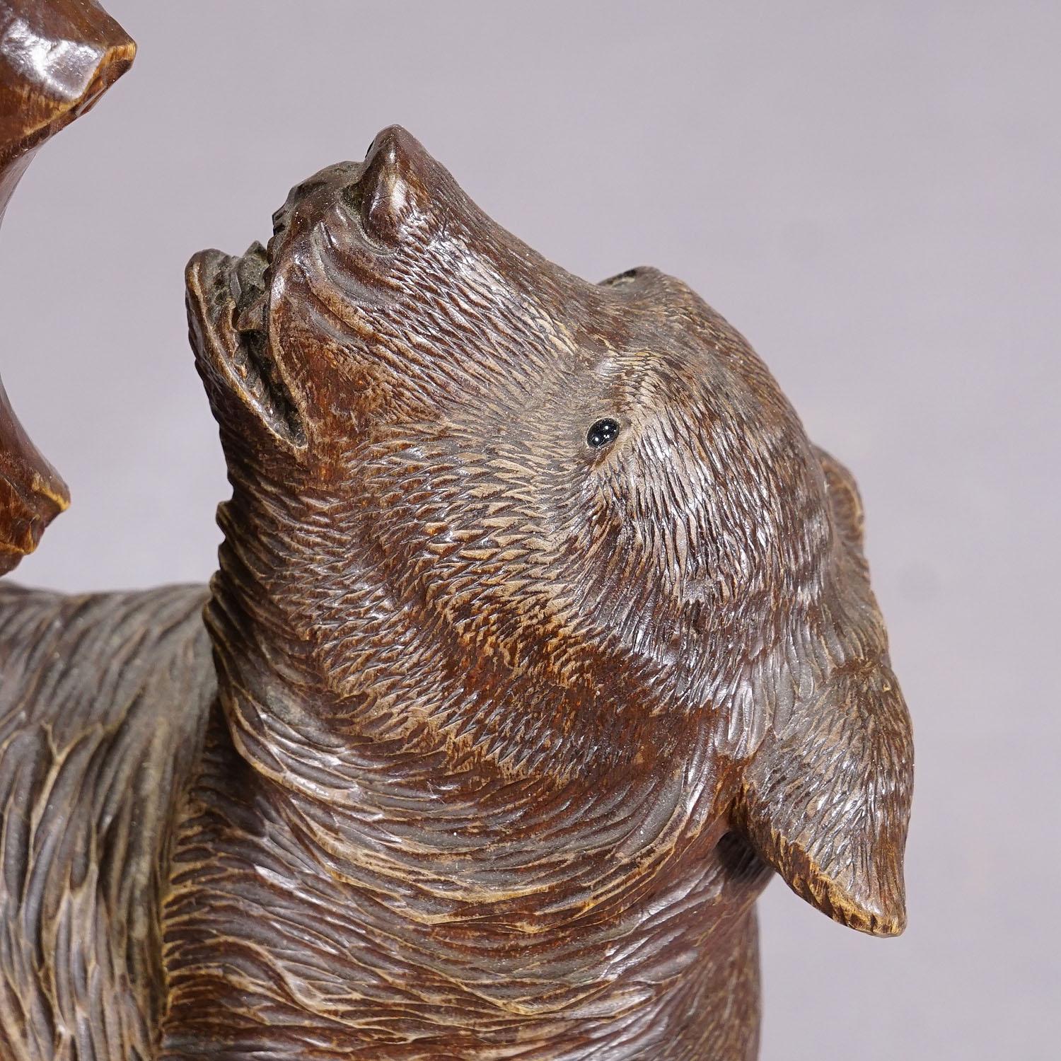 20th Century A Wooden Carved Black Forest Bear with Glass Vase ca. 1900s For Sale