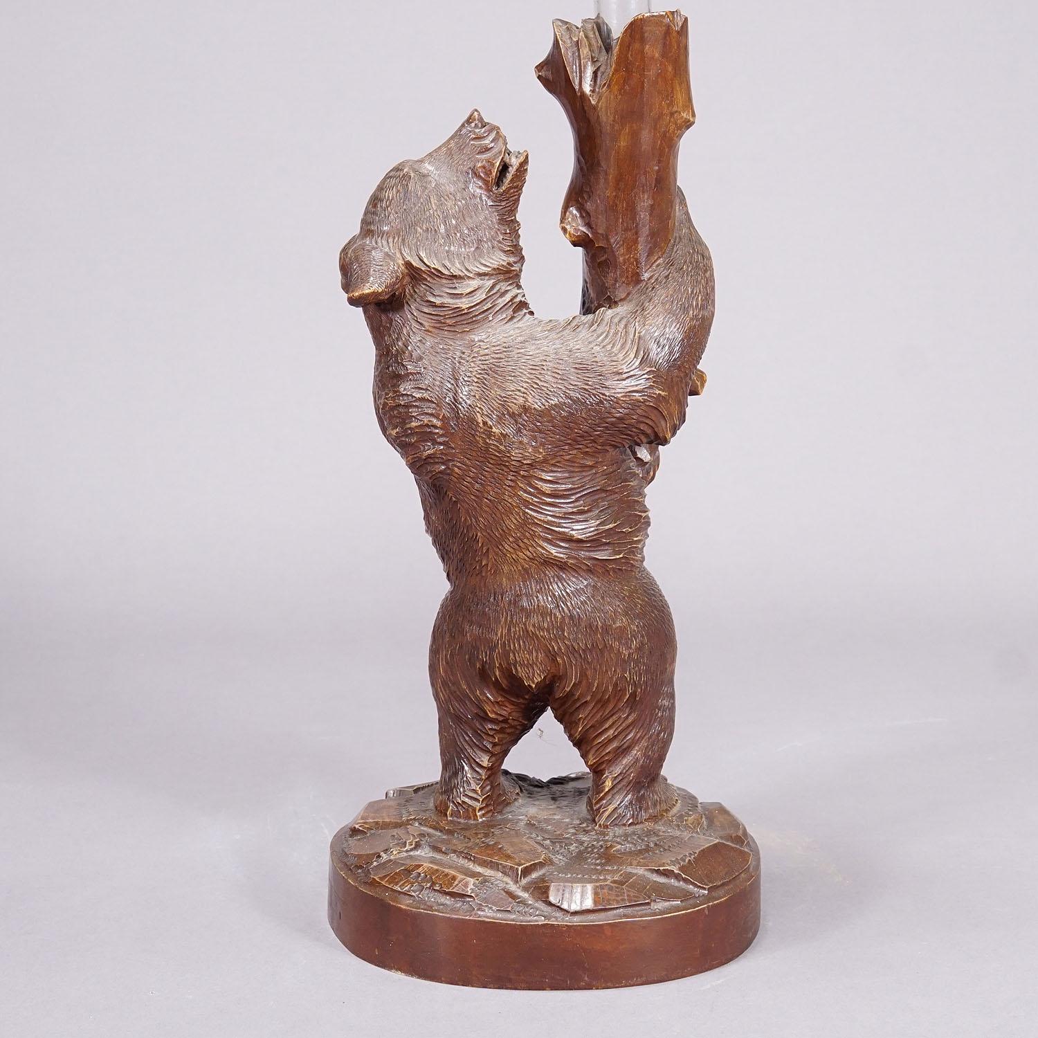 A Wooden Carved Black Forest Bear with Glass Vase ca. 1900s For Sale 1