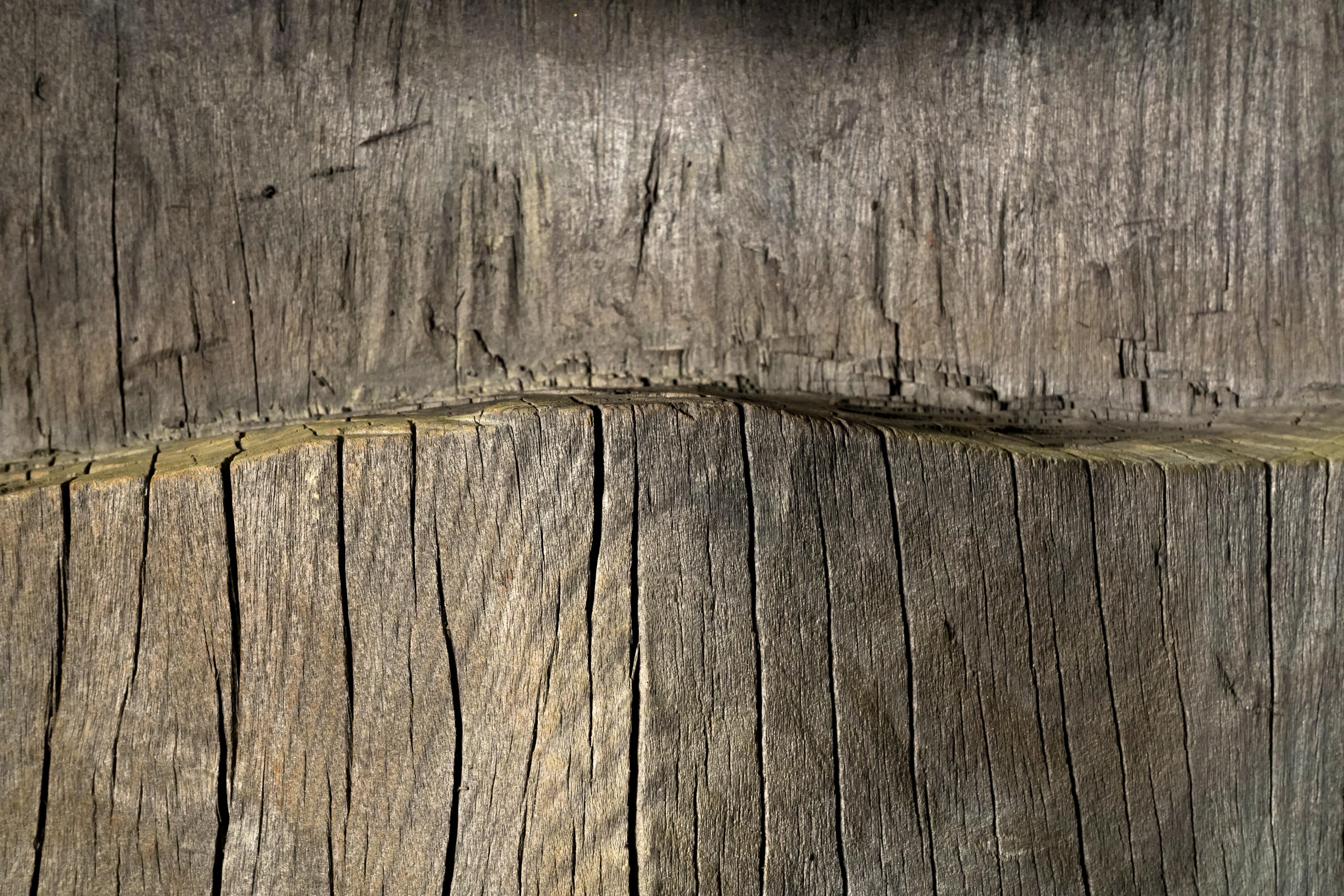 Wooden Naga-Tribe TOTEM 2
