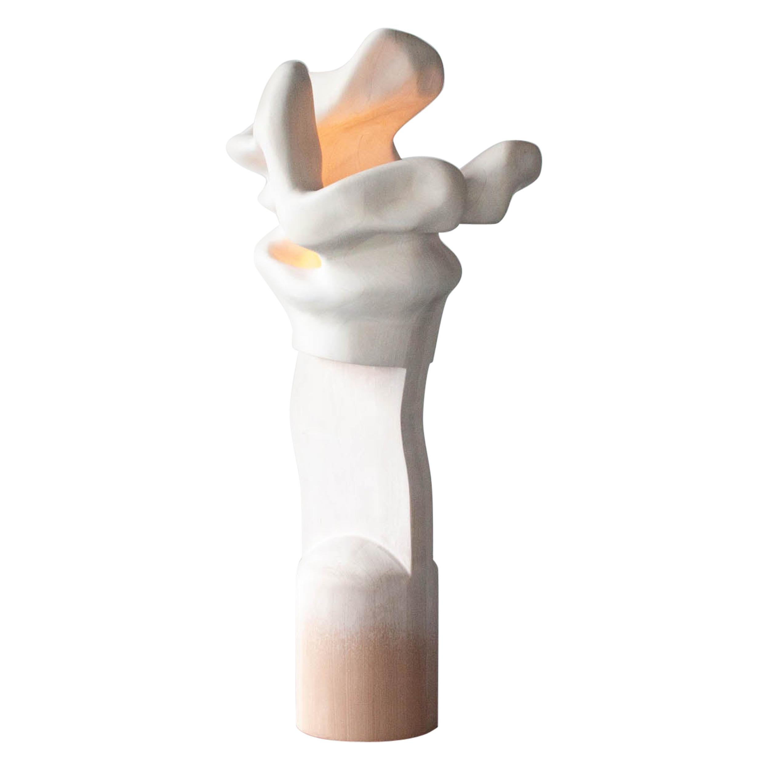 Vincent Pocsik, "A Wrinkle (I Jiggle)", Light Sculpture, 2021 For Sale